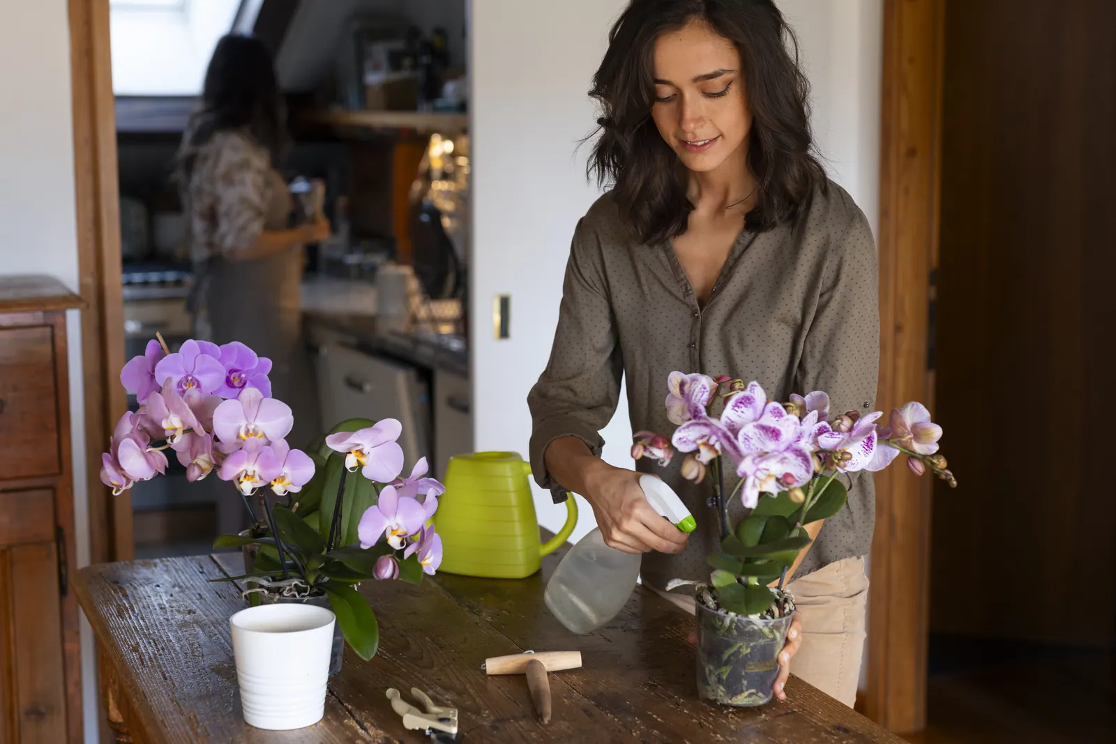 Mulher borrifando orquídea phalaenopsis florida em vaso