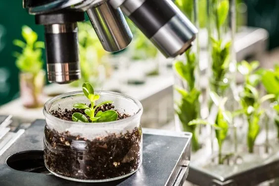 Laboratório da Agribrás em Campinas