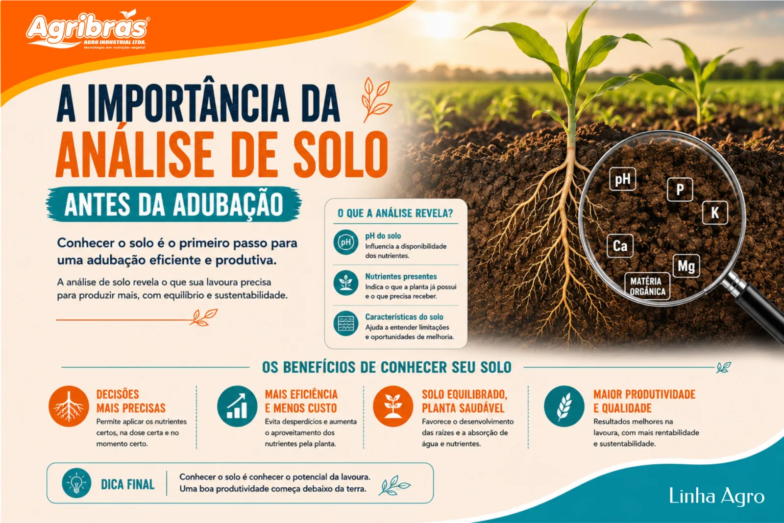 A importância da análise de solo antes da adubação