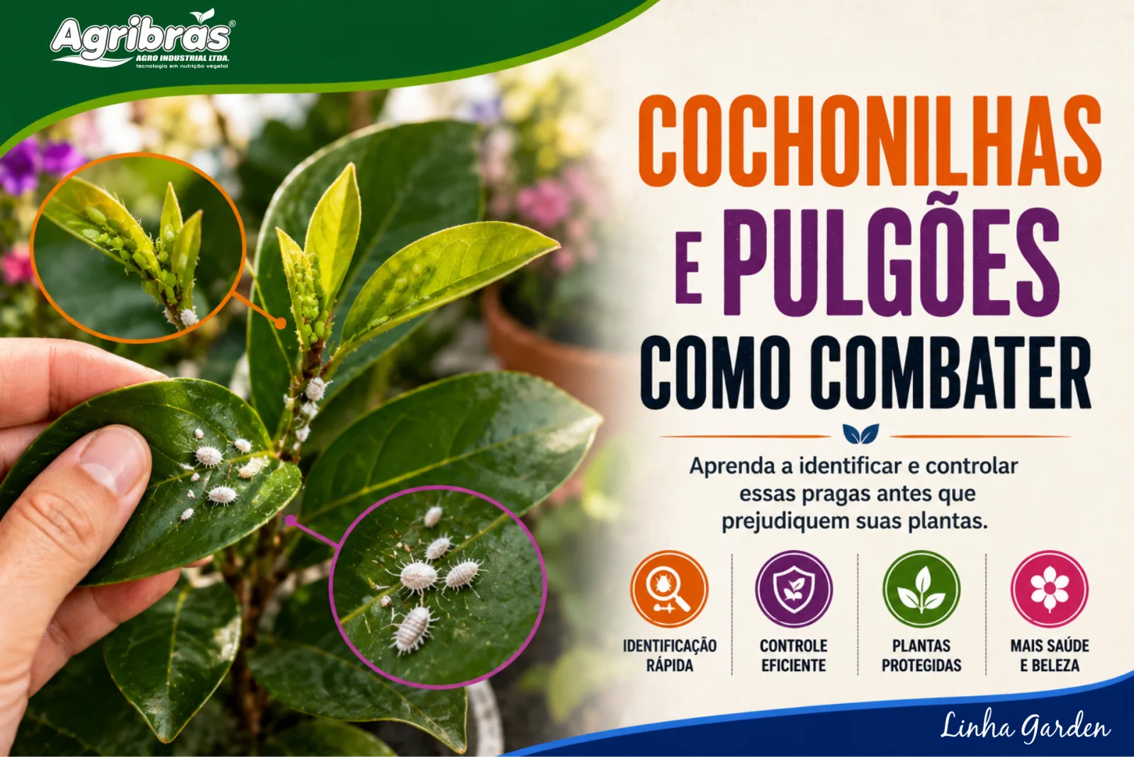 Cochonilhas e Pulgões: Como combater