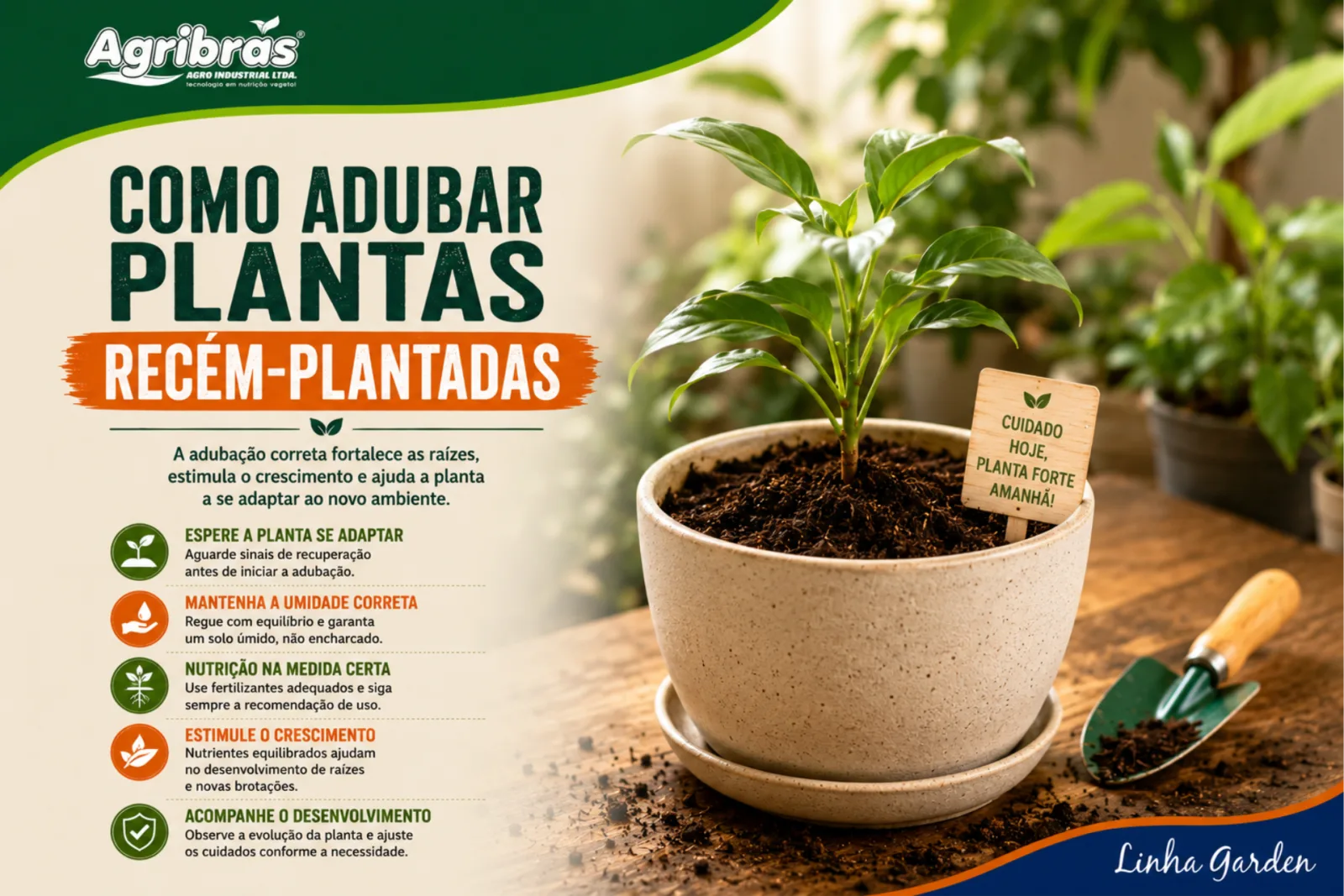 Como adubar plantas recém-plantadas