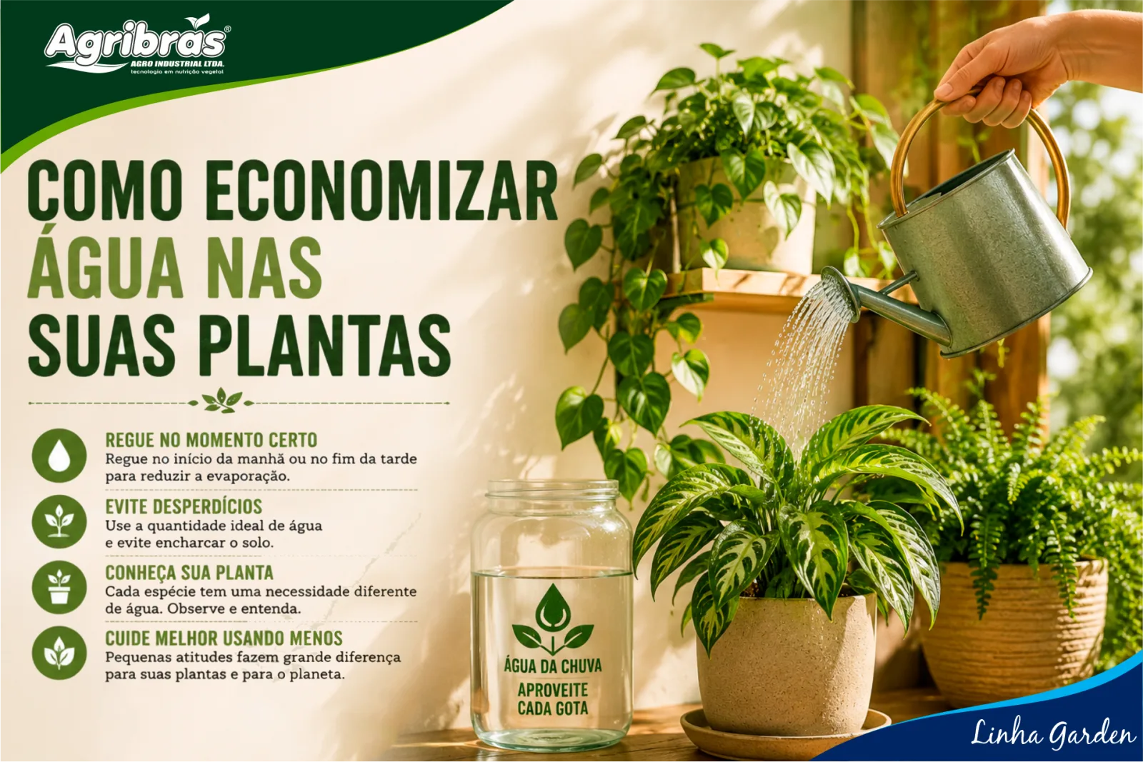 Como economizar água nas suas plantas