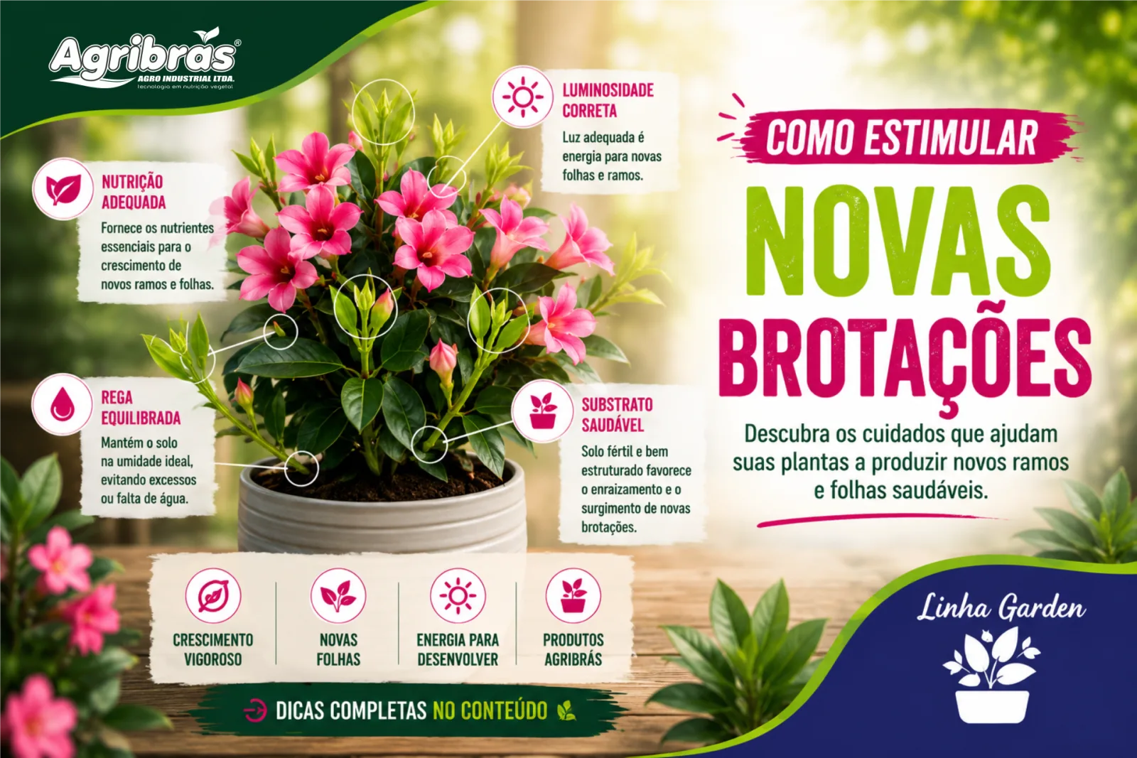 Como estimular novas brotações