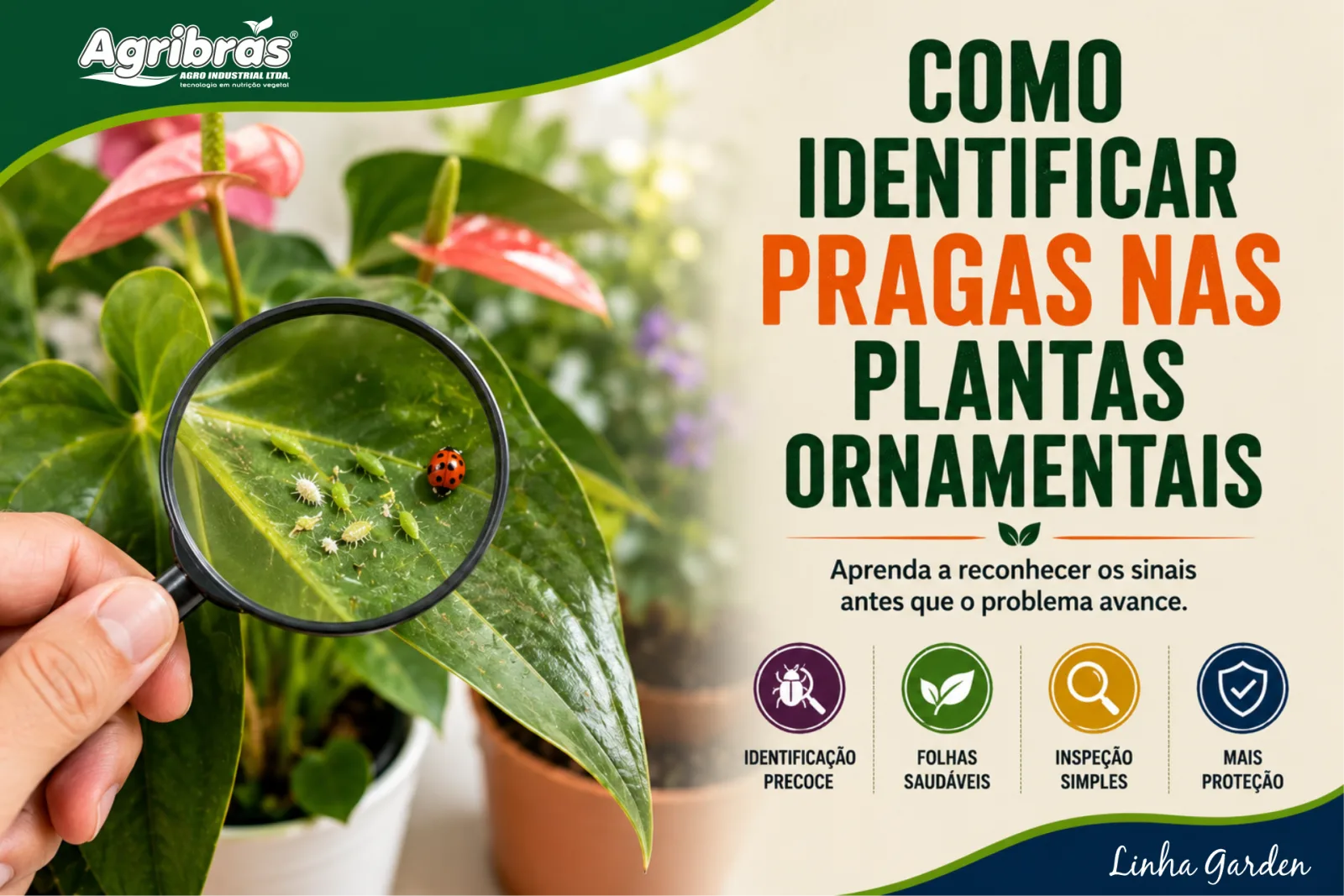 Como identificar pragas nas plantas ornamentais