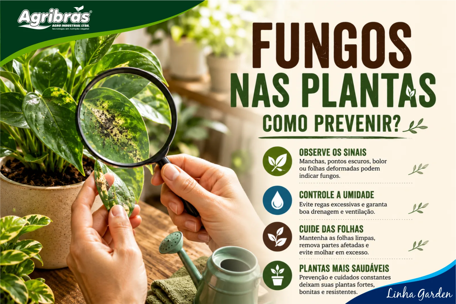 Fungos nas Plantas: Causas e como Previnir