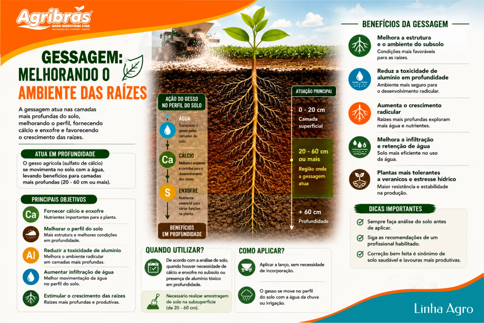 Gessagem: melhorando o ambiente das raízes