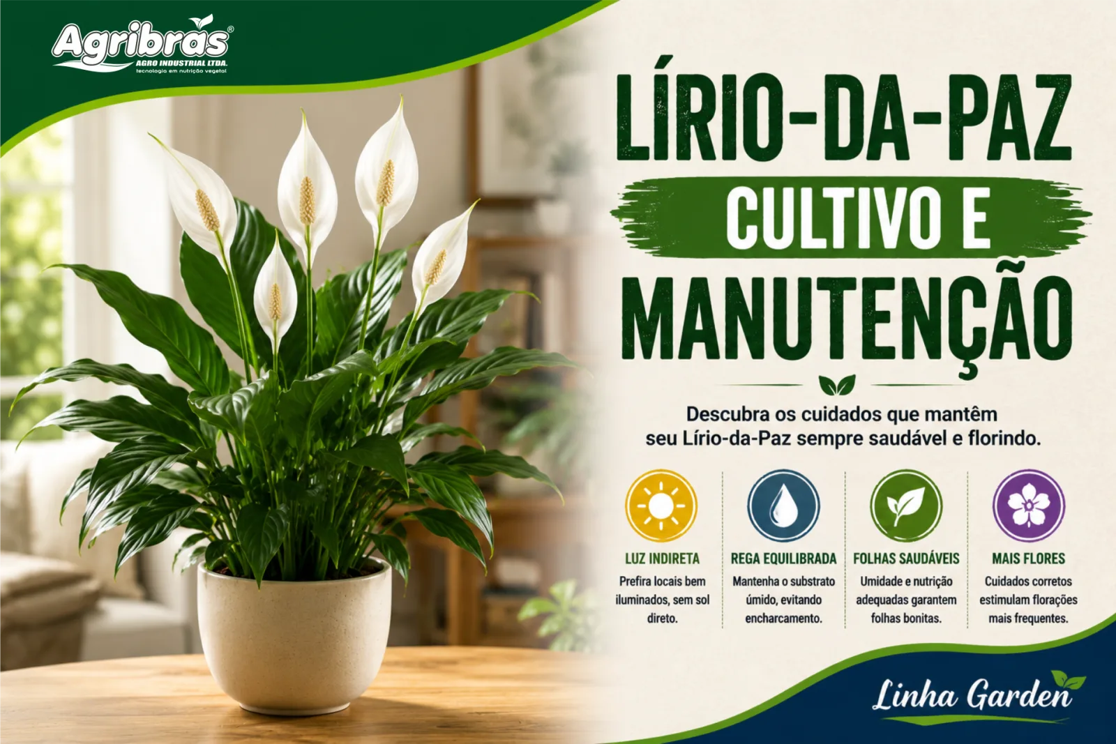 Lírio-da-Paz: Cultivo e Manutenção