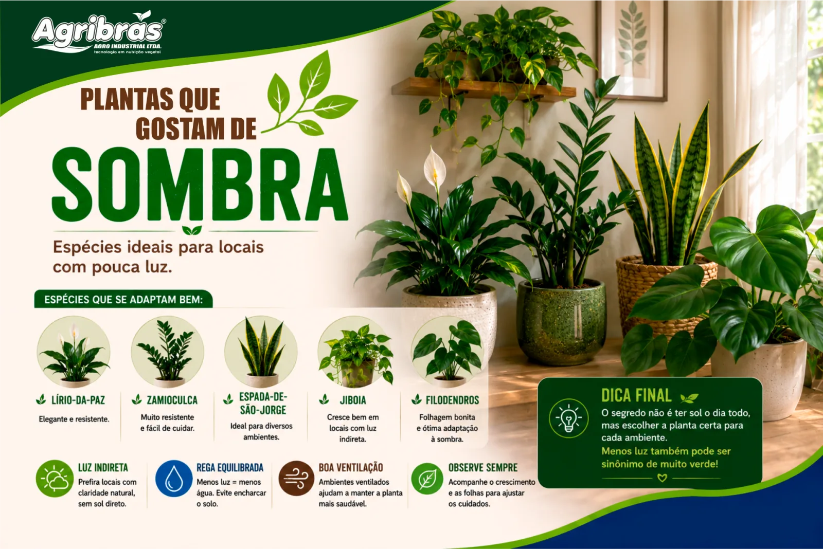 Plantas que gostam de sombra