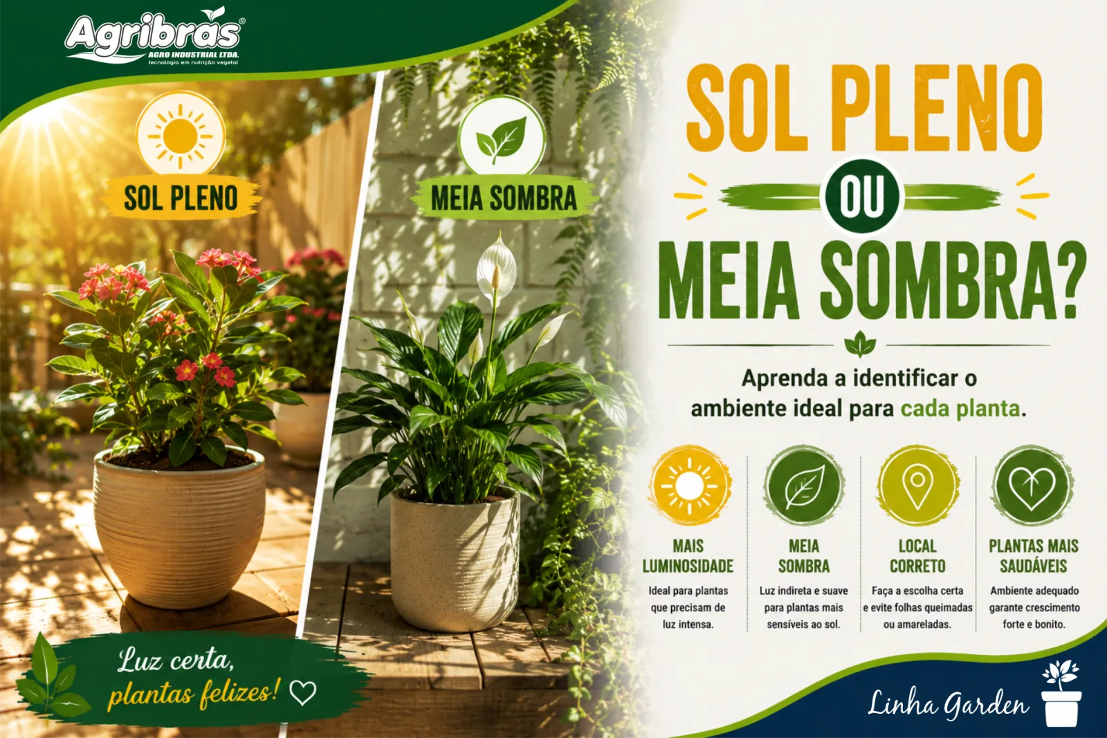 Sol pleno ou meia sombra?