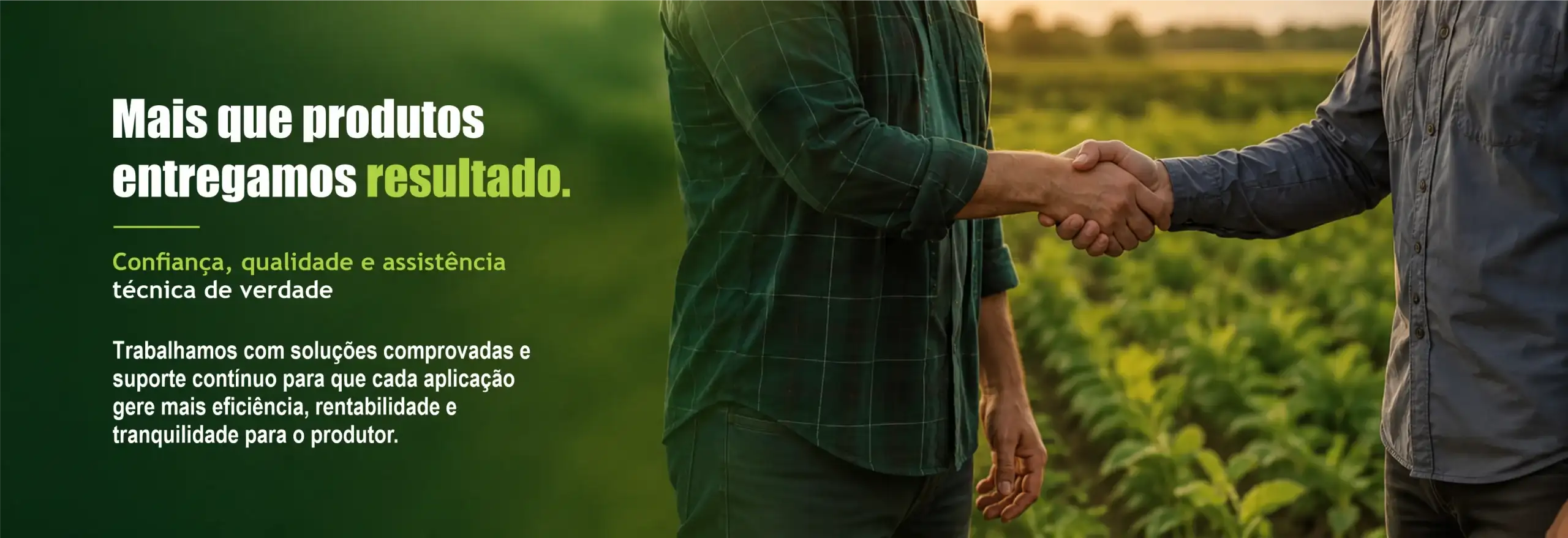 promo-banner-image