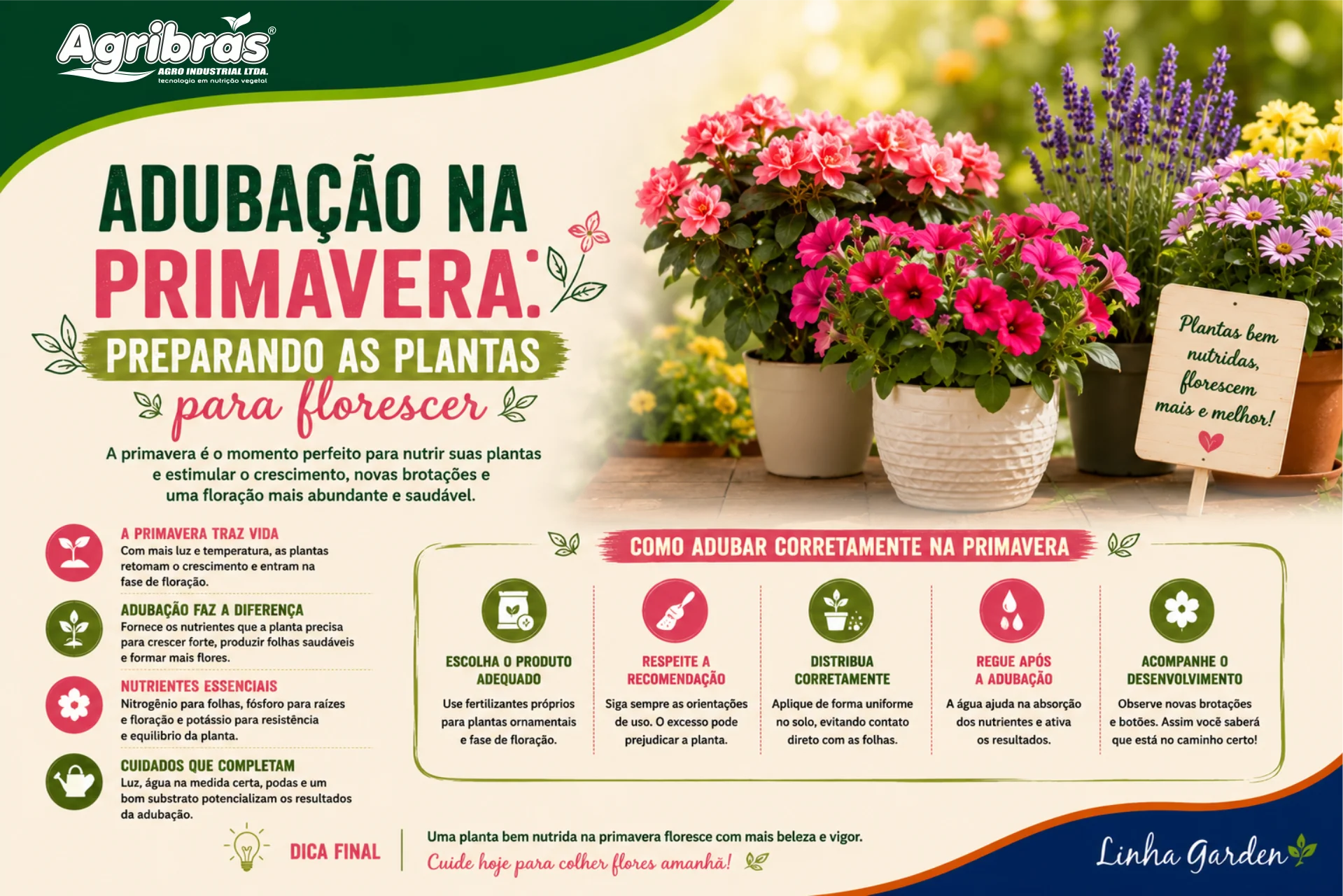 Adubação na primavera: preparando as plantas para florescer