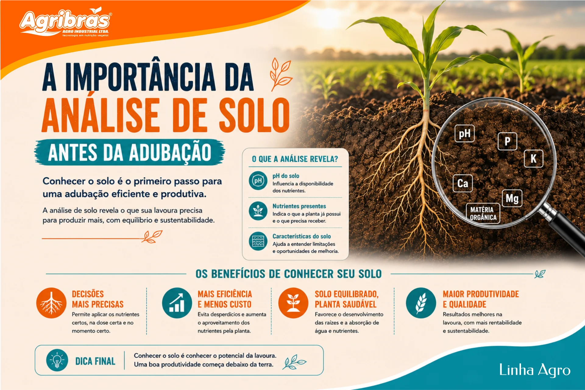 A importância da análise de solo antes da adubação