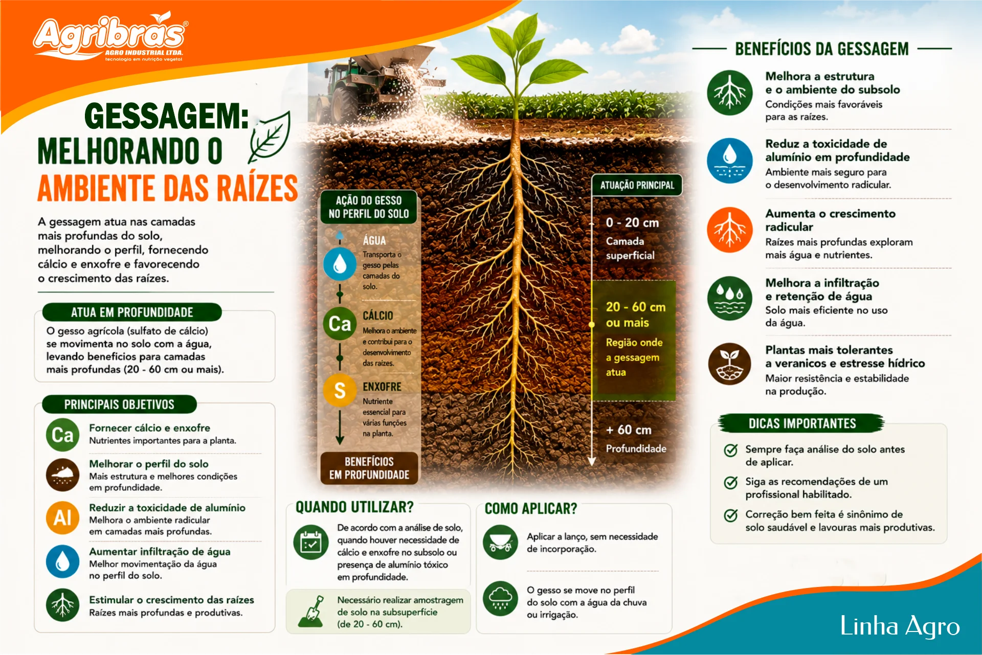 Gessagem: melhorando o ambiente das raízes