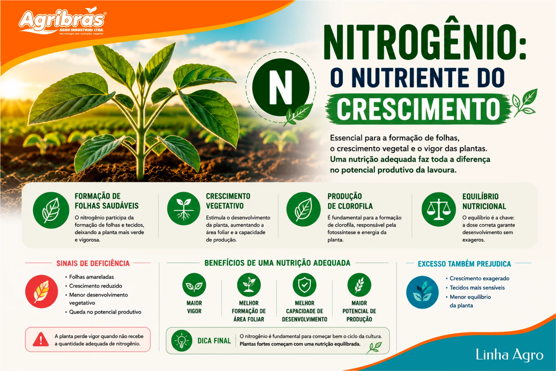 Nitrogênio: o nutriente do crescimento