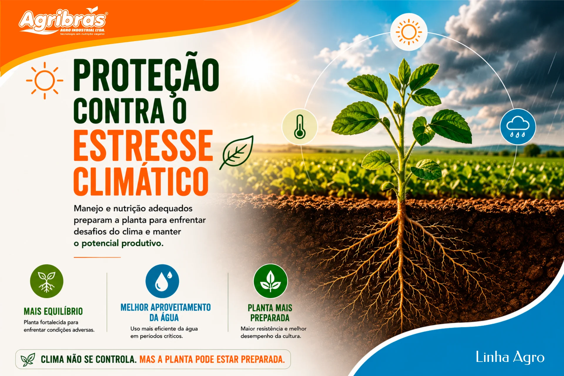 Como proteger a planta contra estresse climático