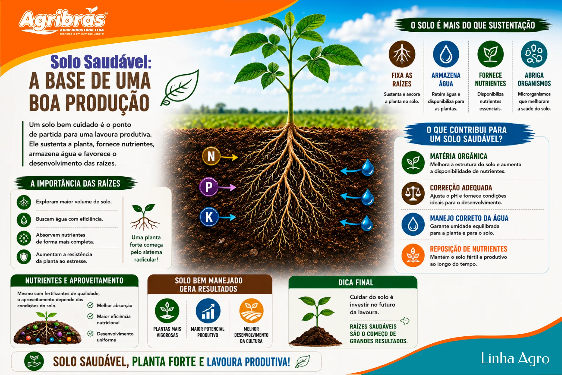 Solo saudável: a base de uma boa produção