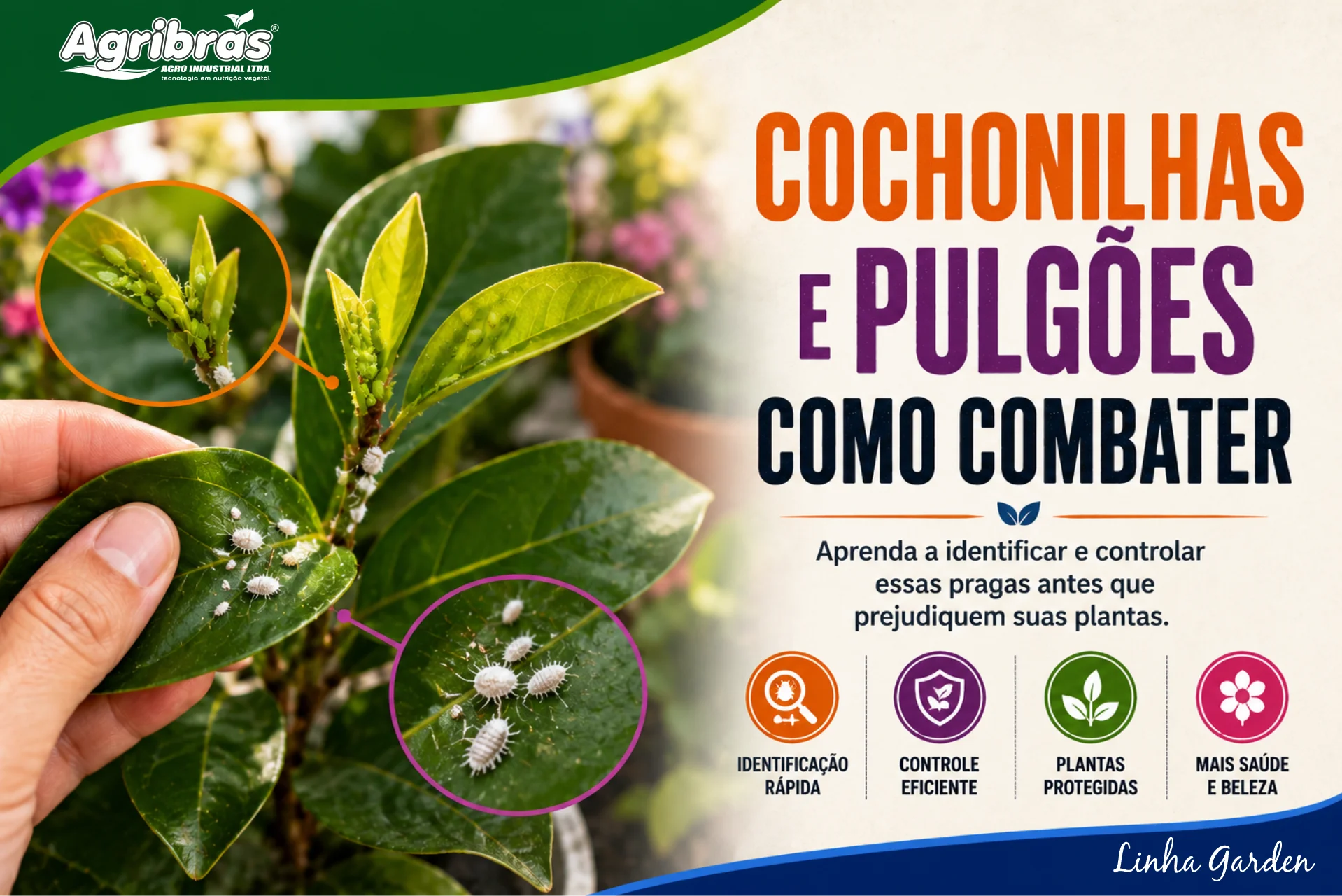 Cochonilhas e Pulgões: Como combater