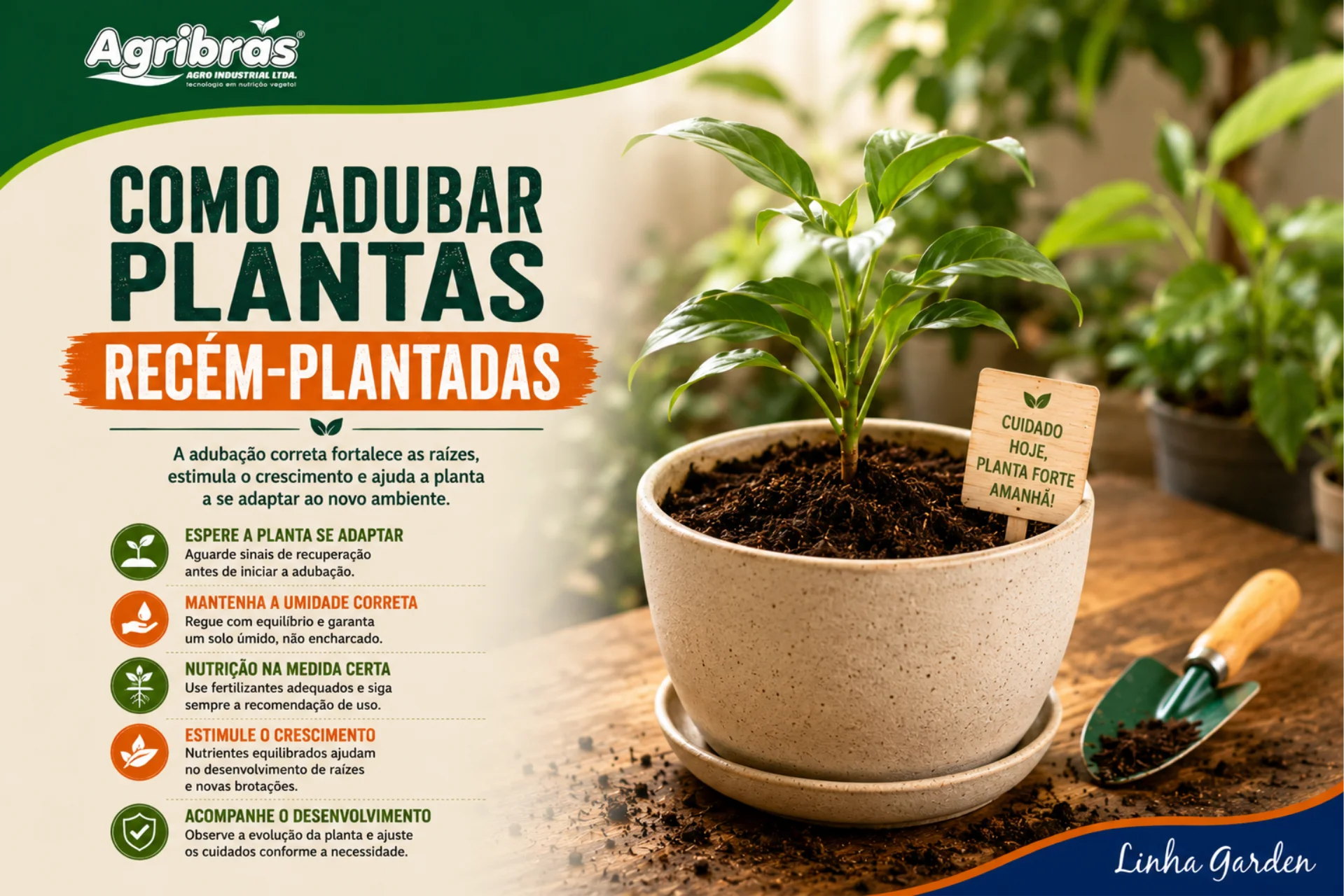 Como adubar plantas recém-plantadas