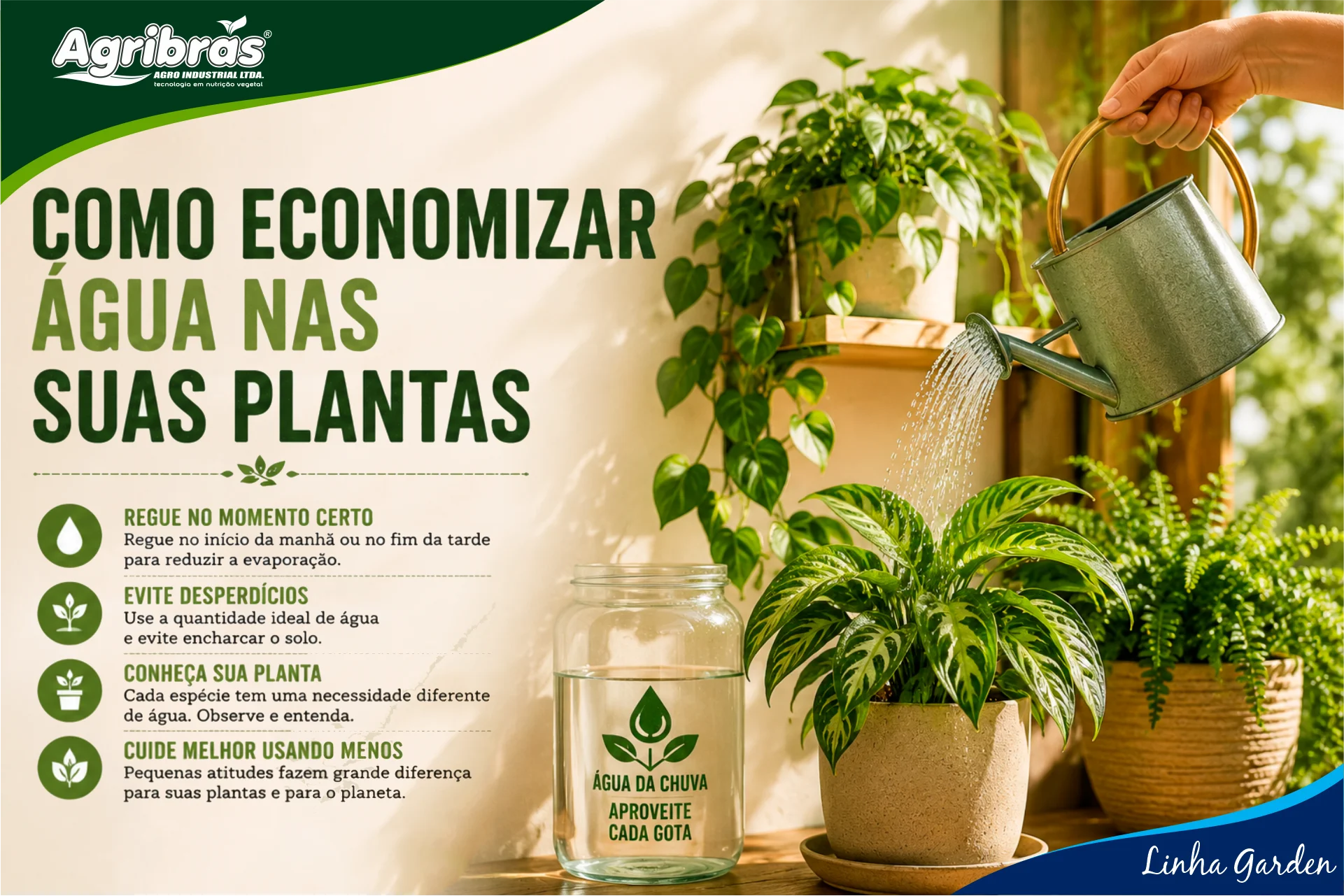 Como economizar água nas suas plantas
