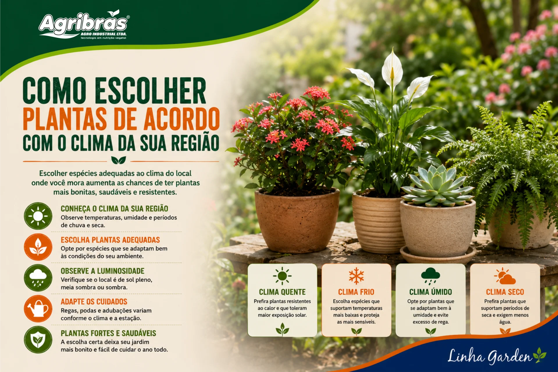 Como escolher plantas de acordo com o clima da sua região