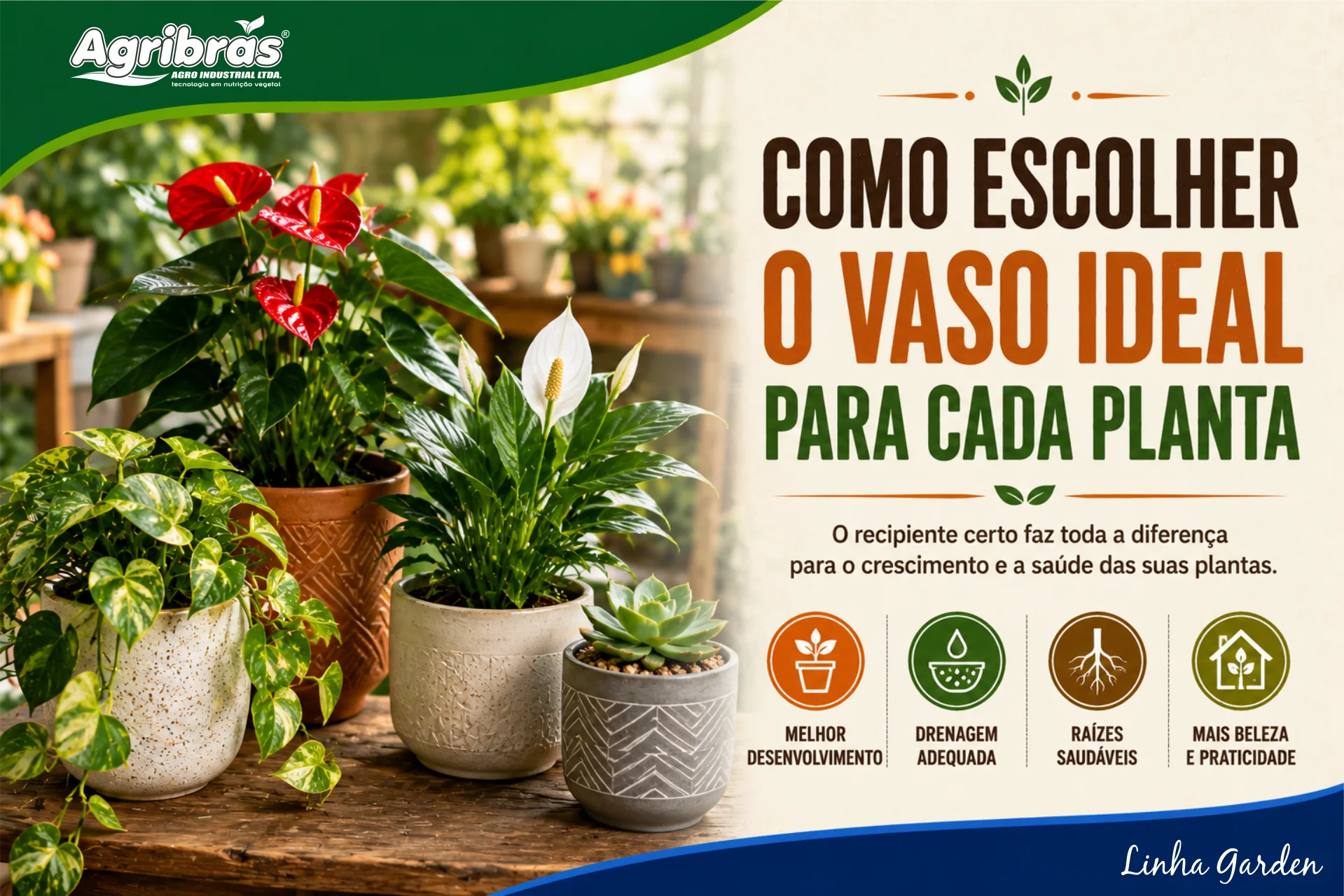 Como escolher o vaso ideal para cada planta