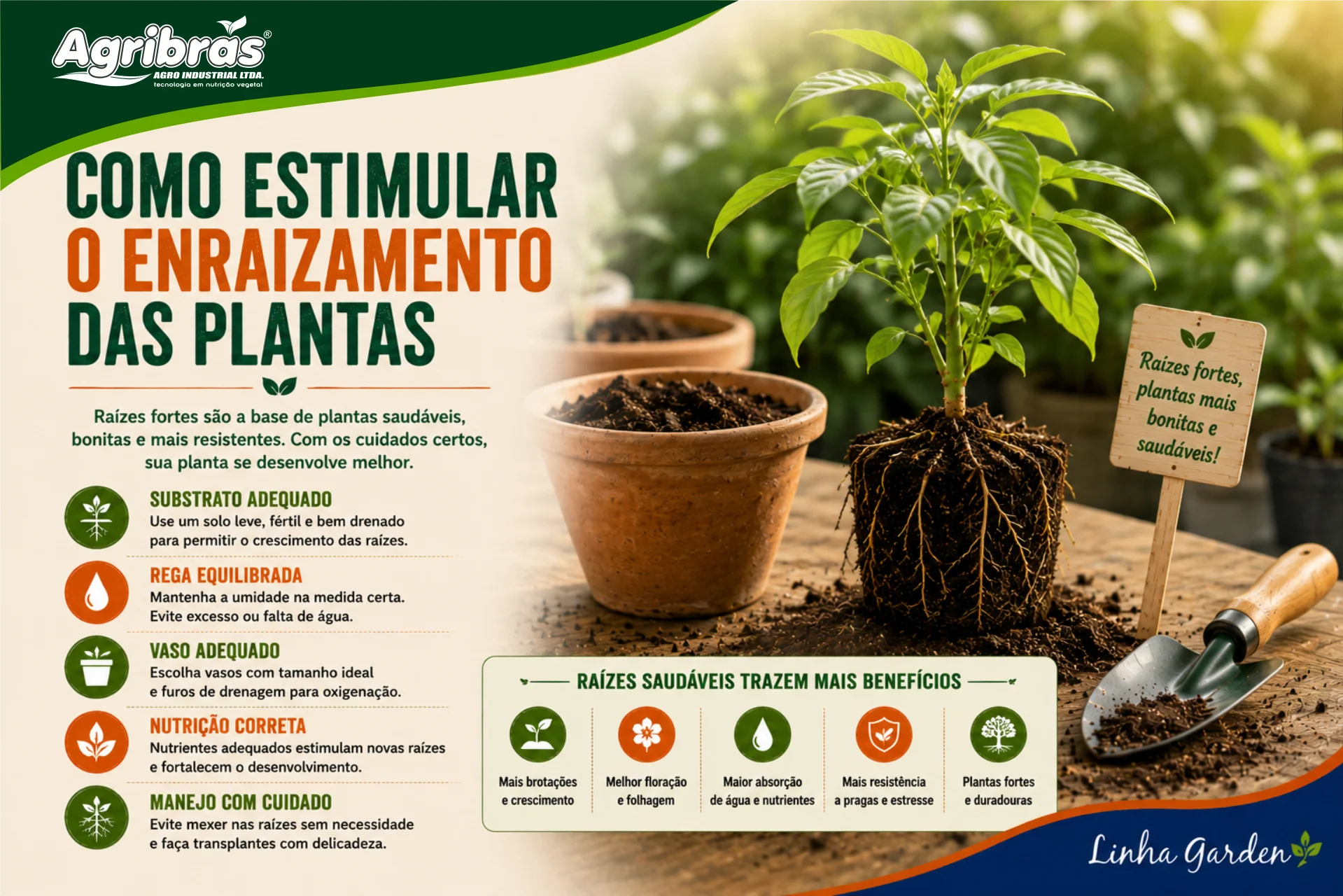 Como estimular o enraizamento das plantas