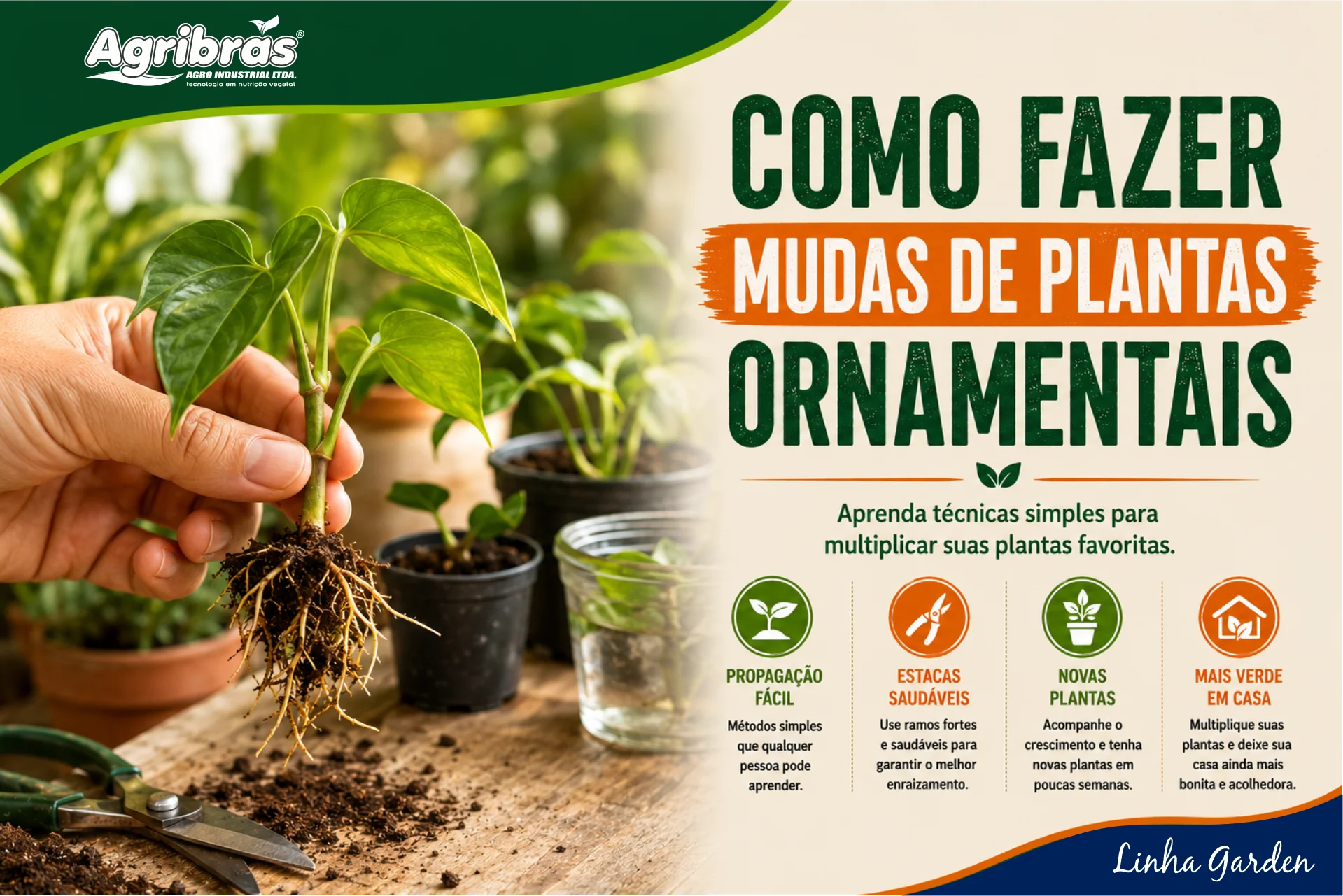 Como fazer mudas de plantas ornamentais