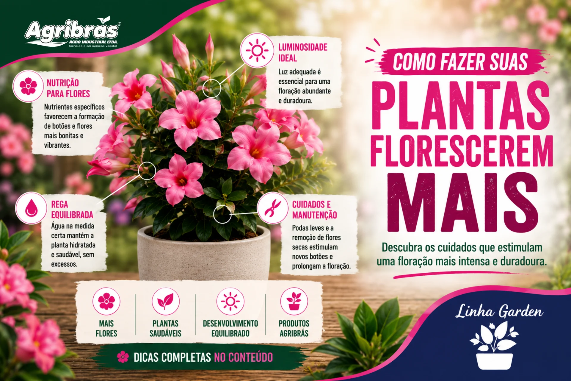 Como fazer suas plantas florescerem mais