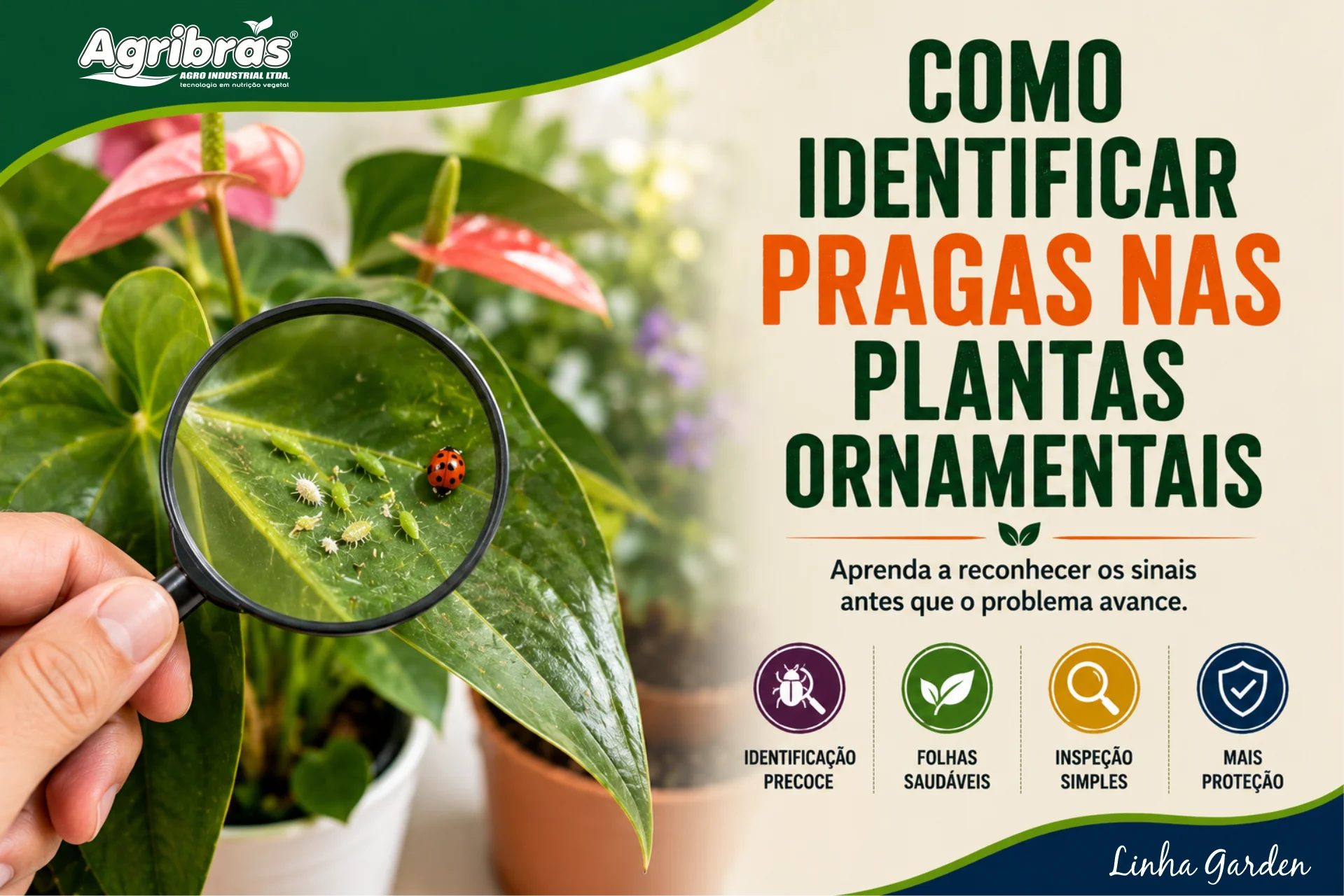 Como identificar pragas nas plantas ornamentais