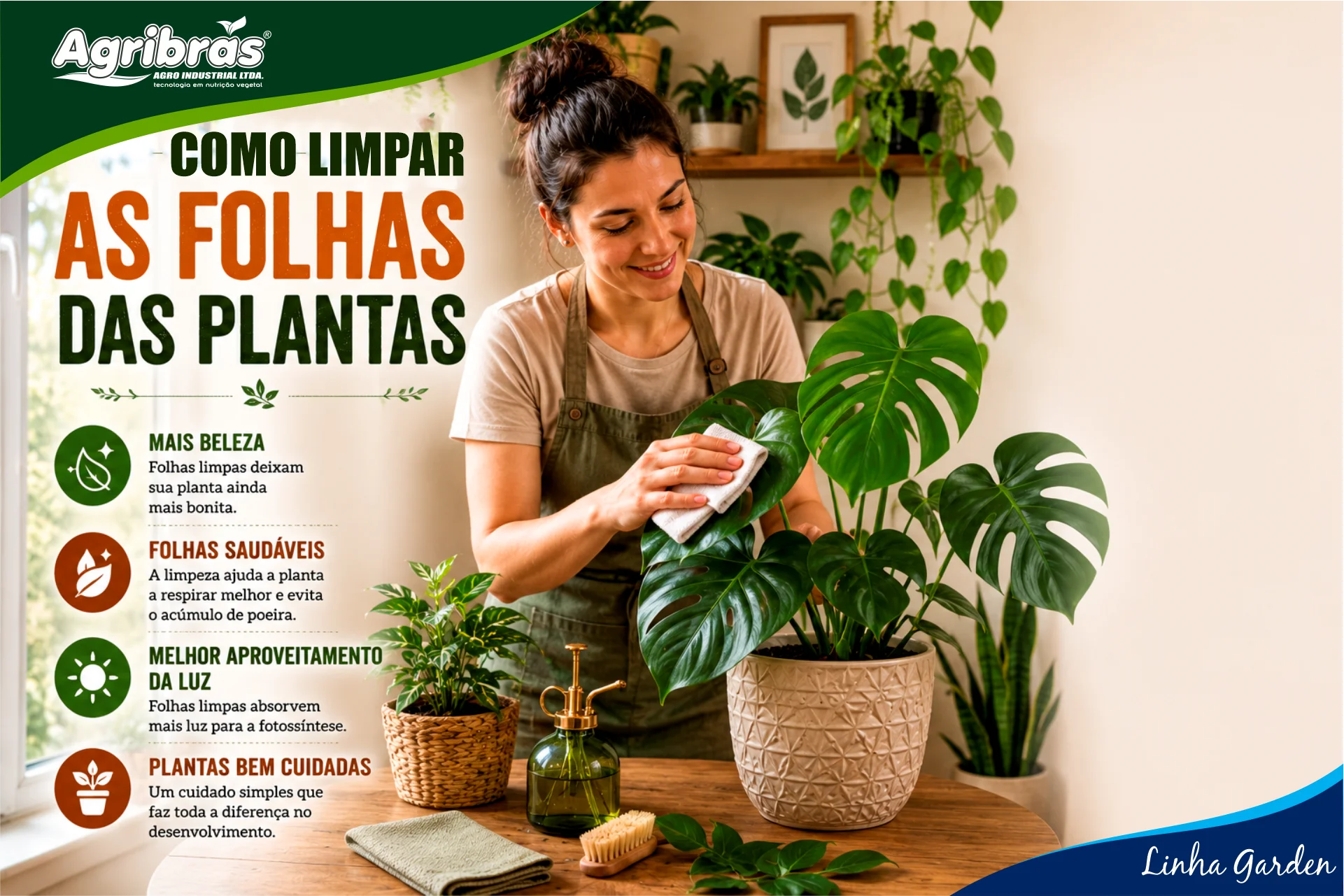 Como limpar as folhas de plantas corretamente