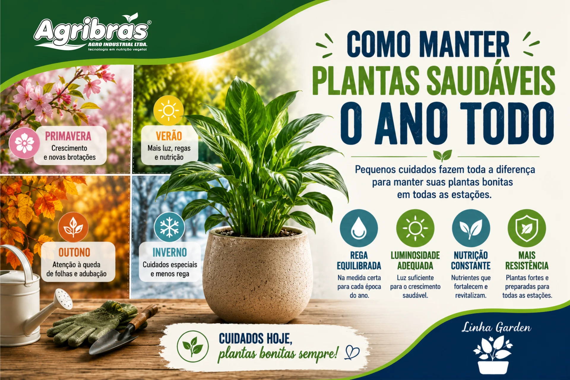 Como manter plantas saudáveis o ano todo