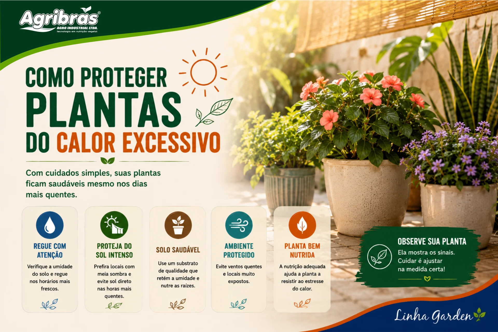 Como proteger plantas do calor excessivo