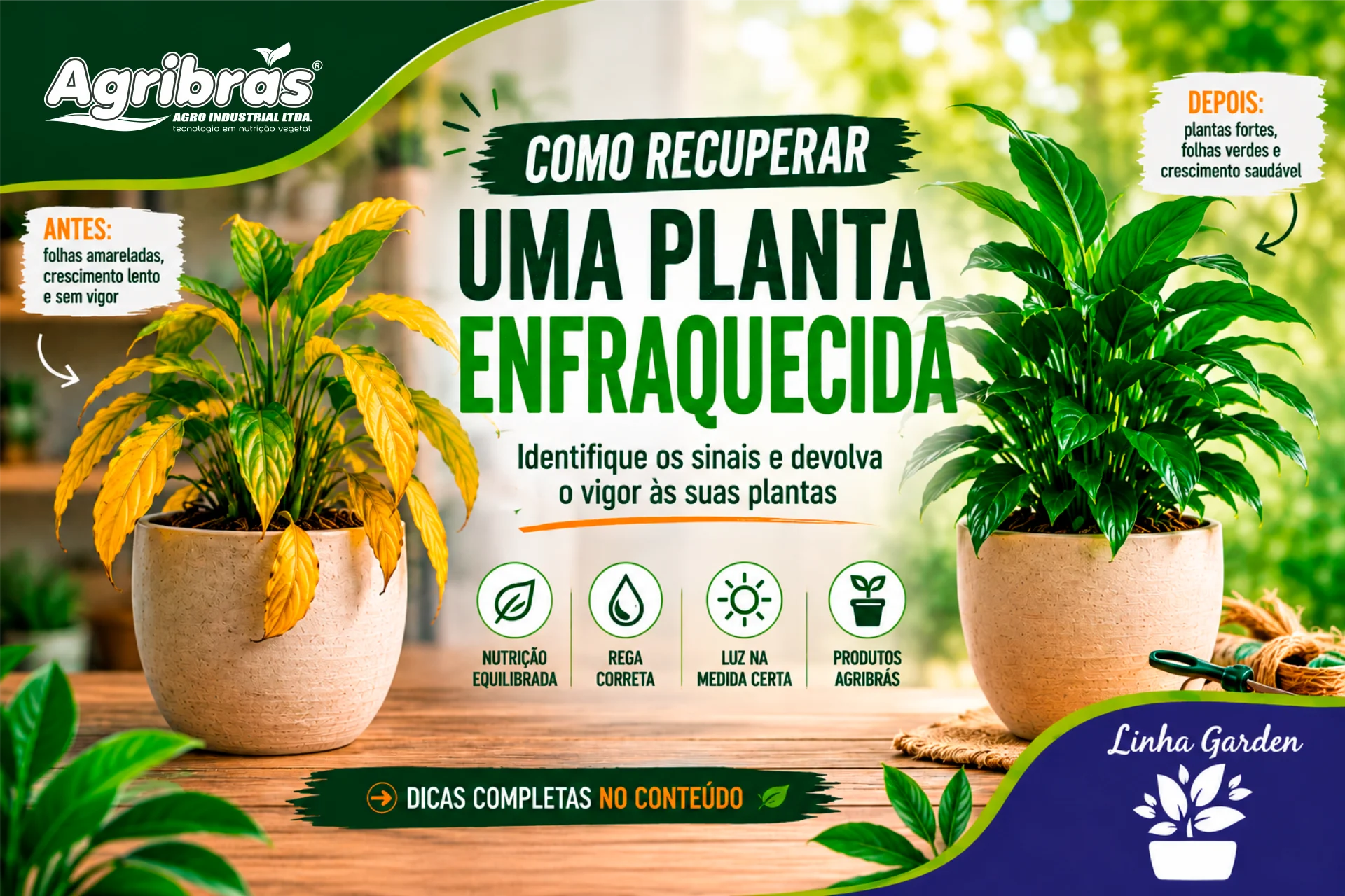 Como recuperar uma planta enfraquecida