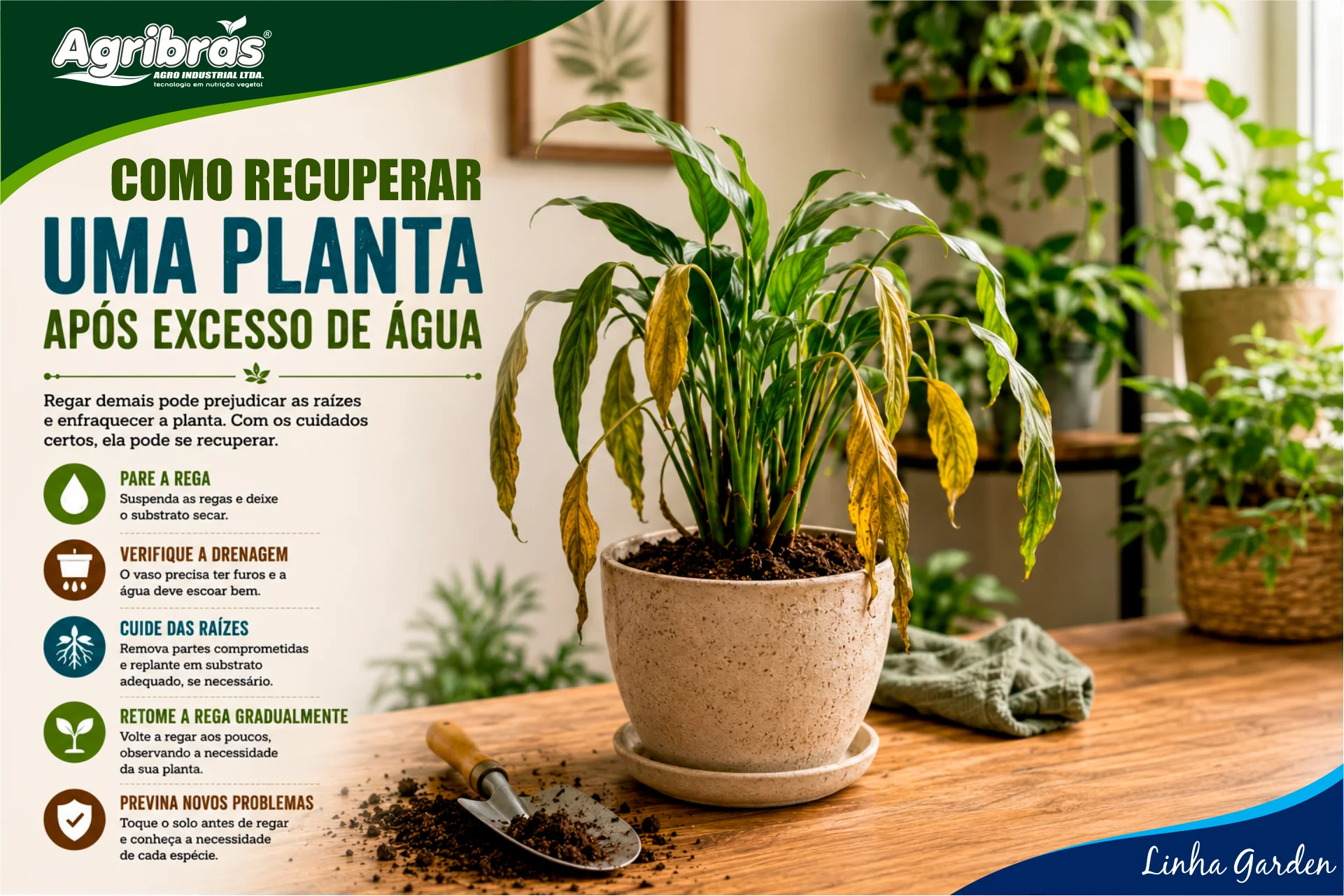 Como recuperar uma planta após excesso de água