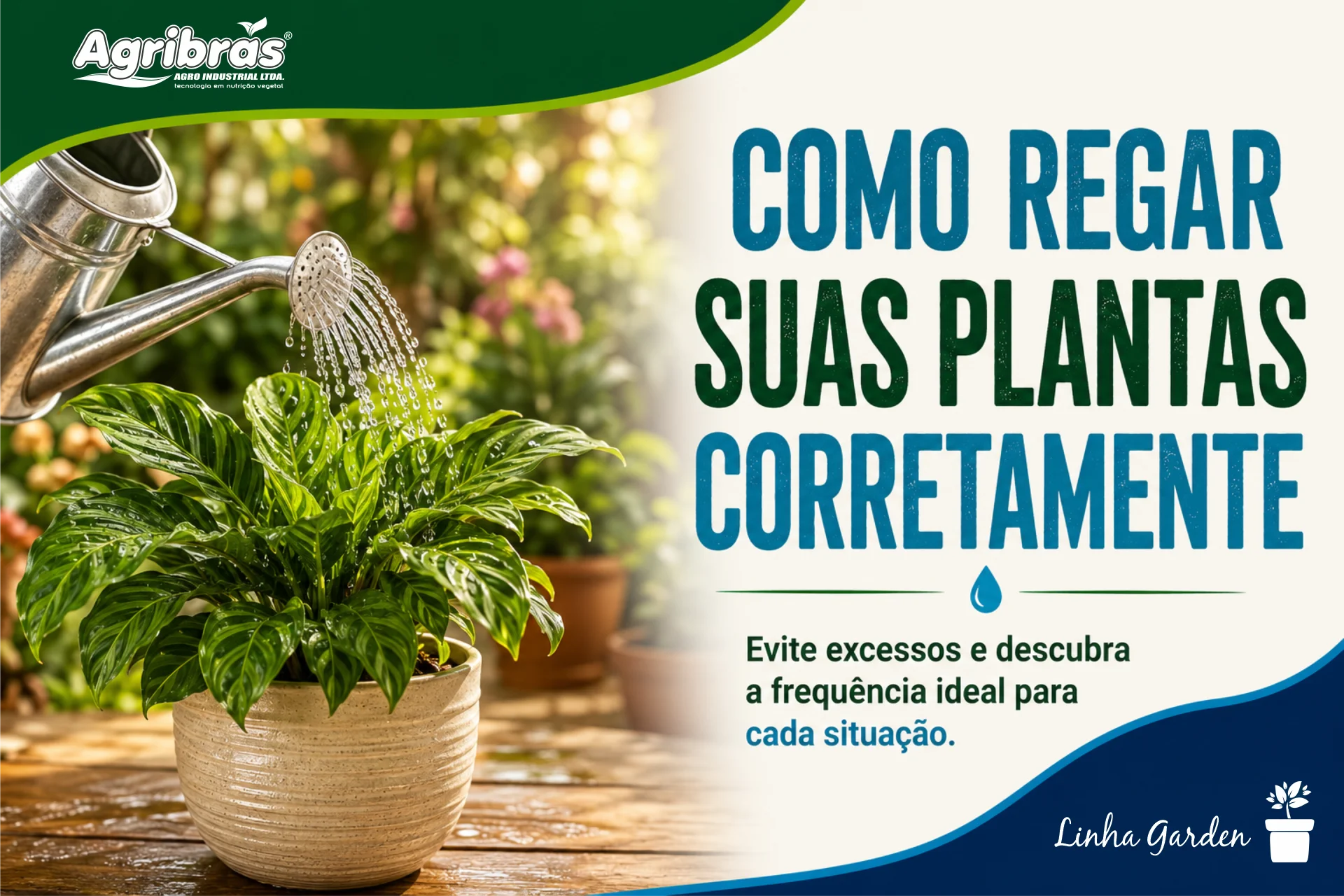 Como regar suas plantas corretamente