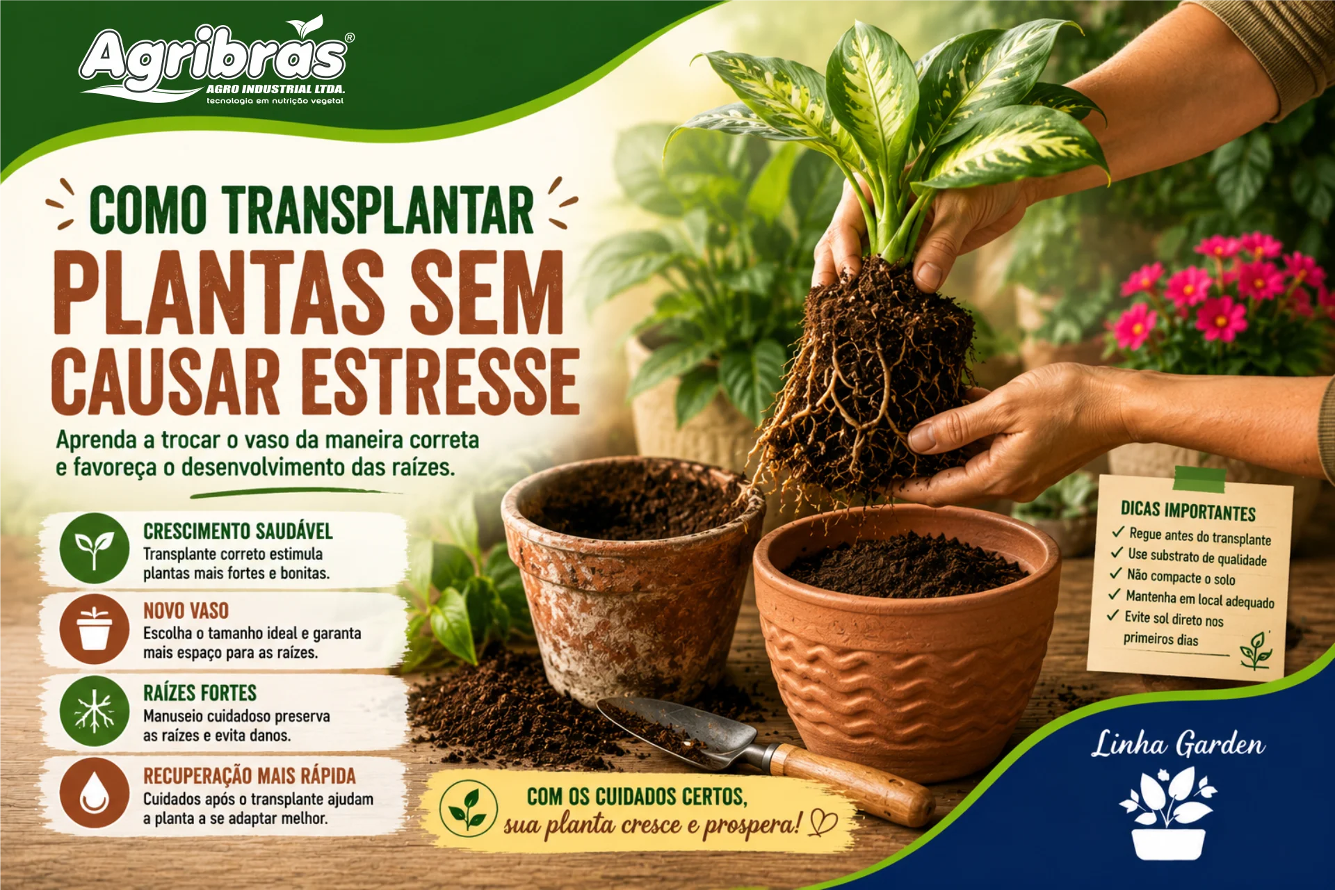 Como transplantar plantas sem causar estresse