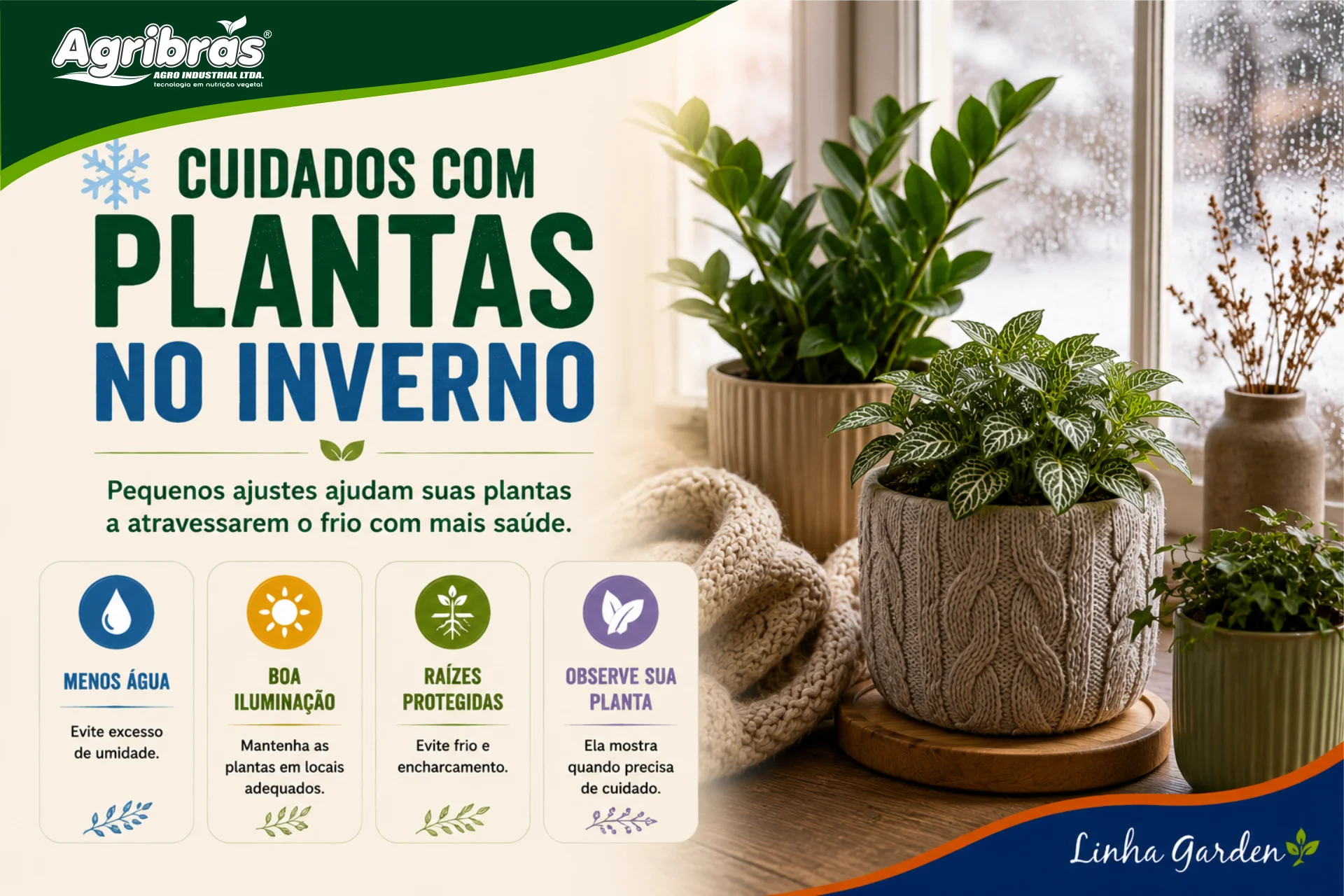 Cuidados com plantas no inverno