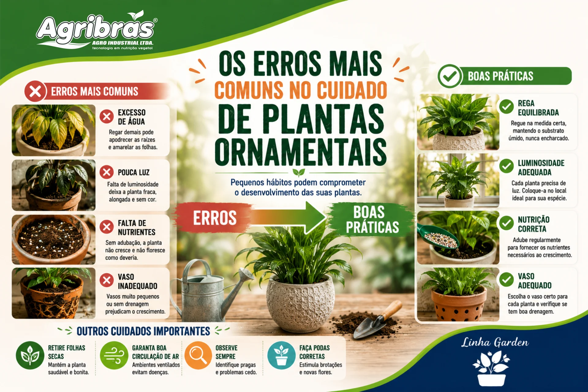 Os erros mais comuns no cuidado de plantas ornamentais