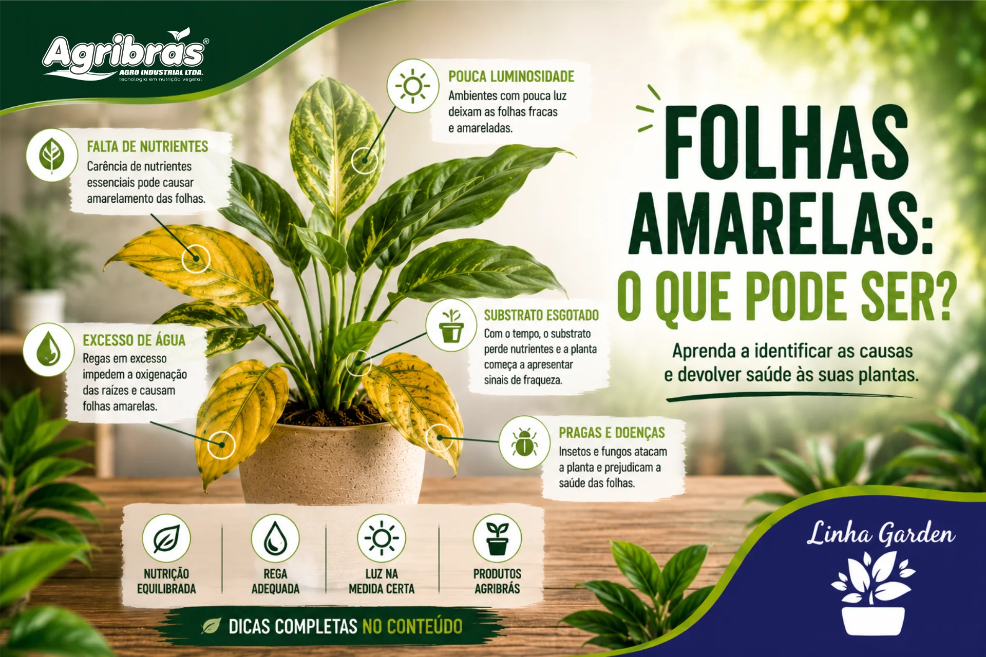 Folhas amarelas, o que pode ser?