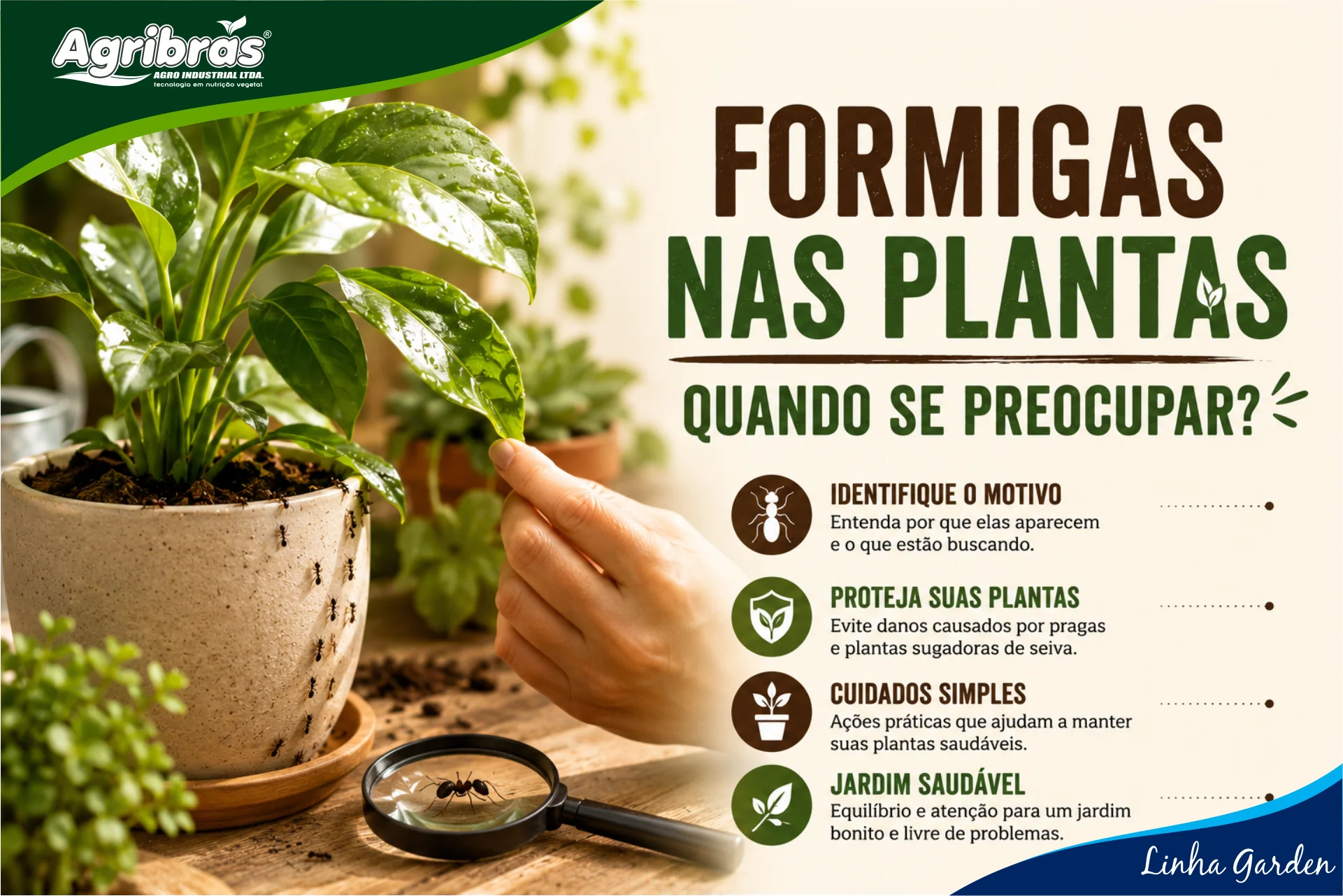 Formigas nas Plantas: Quando se preocupar