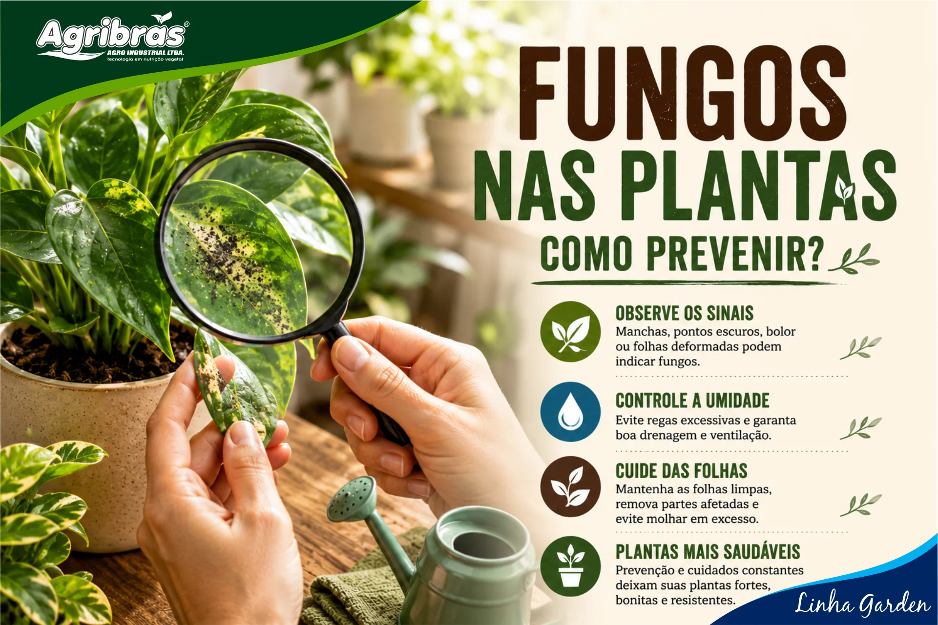 Fungos nas Plantas: Causas e como Previnir