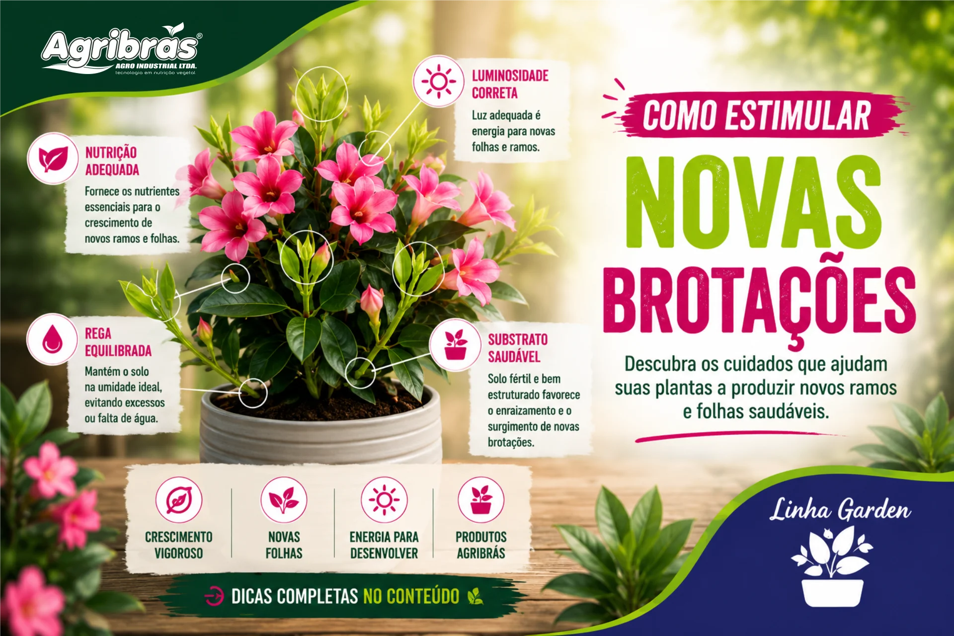 Como estimular novas brotações