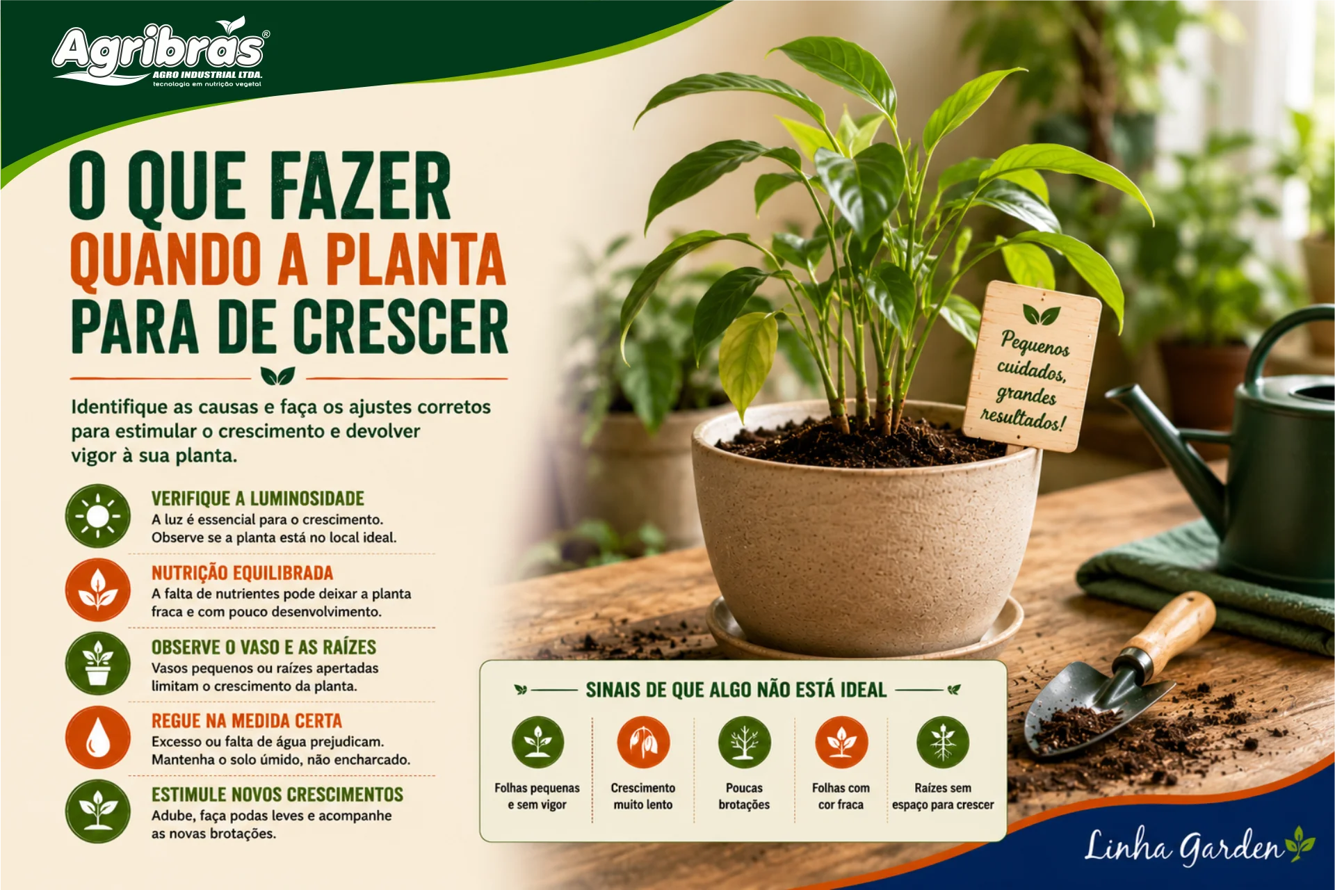 O que fazer quando a planta para de crescer