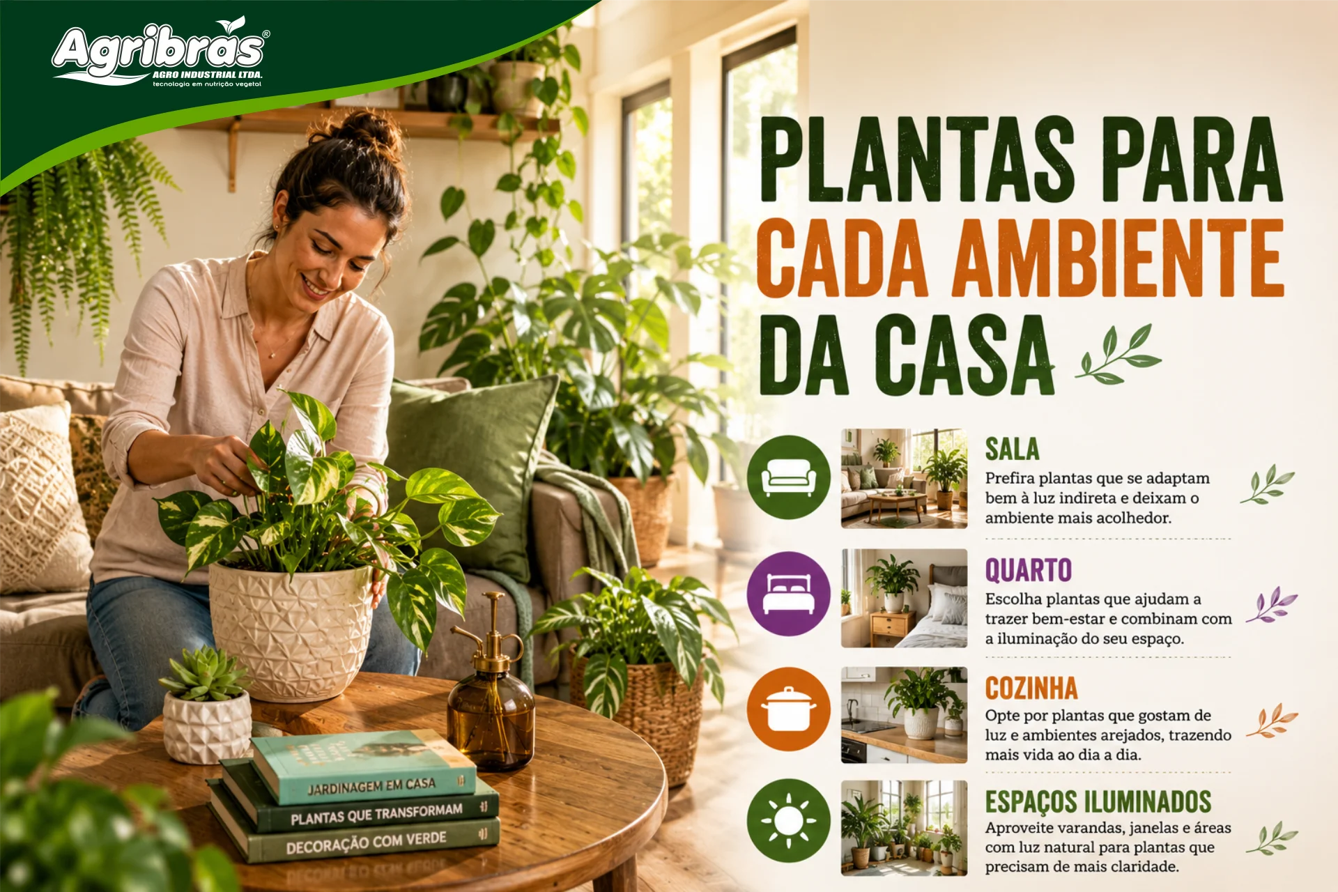 Plantas para cada ambiente da casa