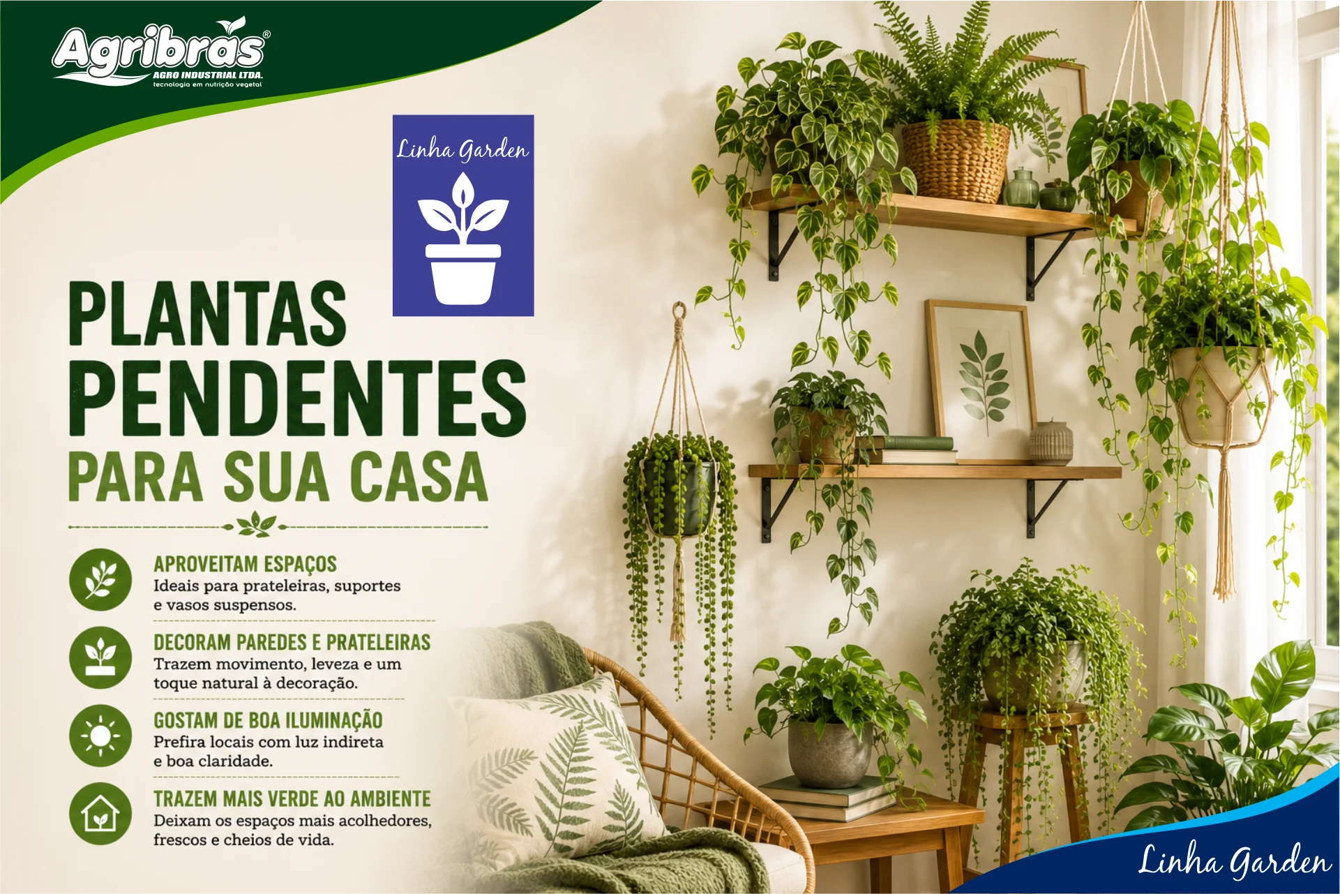 Plantas pendentes para sua casa