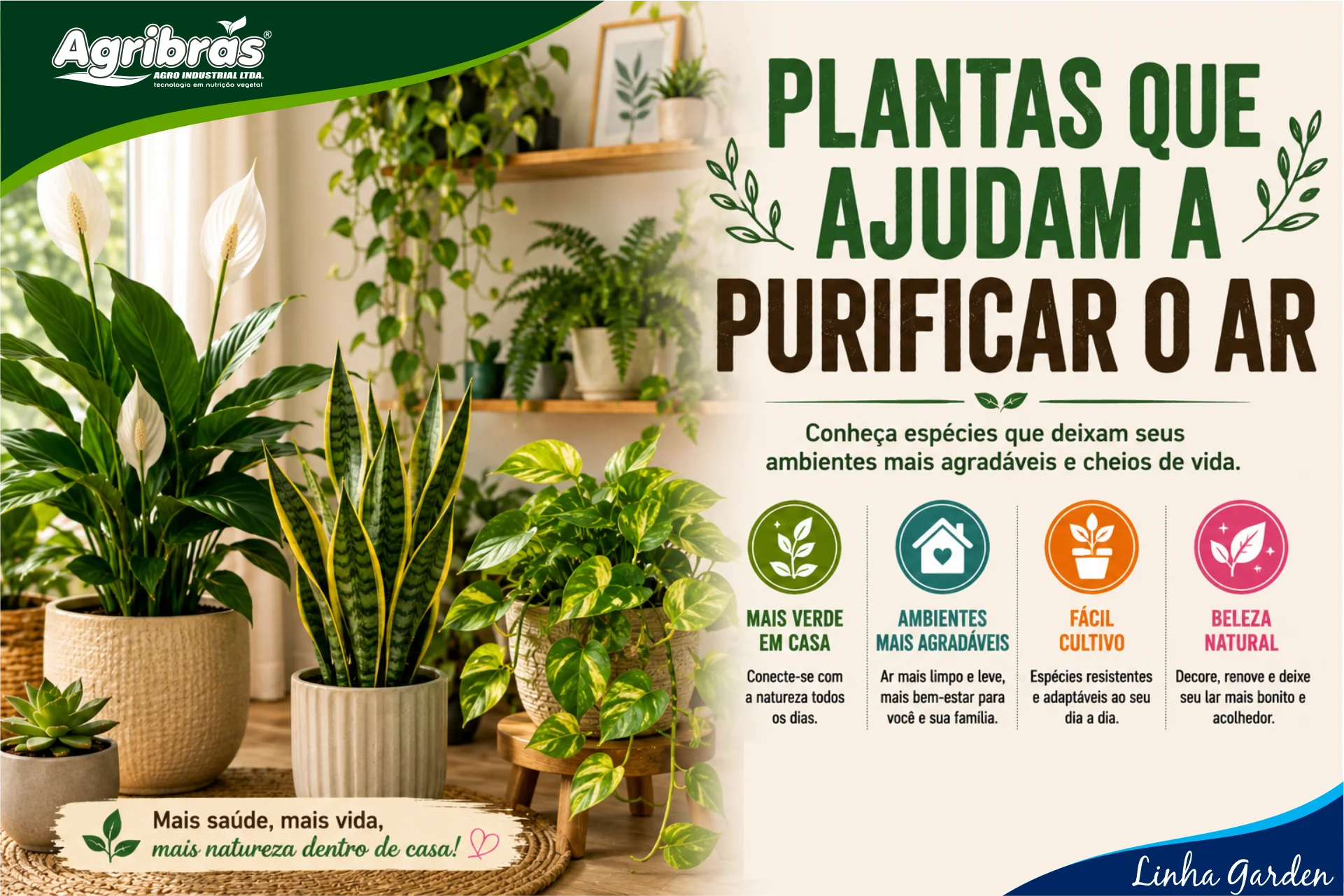 Plantas que ajudam a purificar o ar