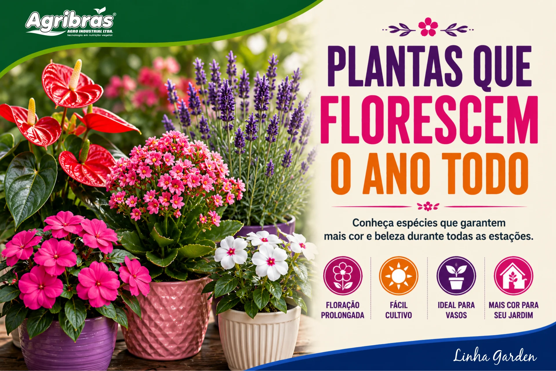 Plantas que Florescem o Ano Todo