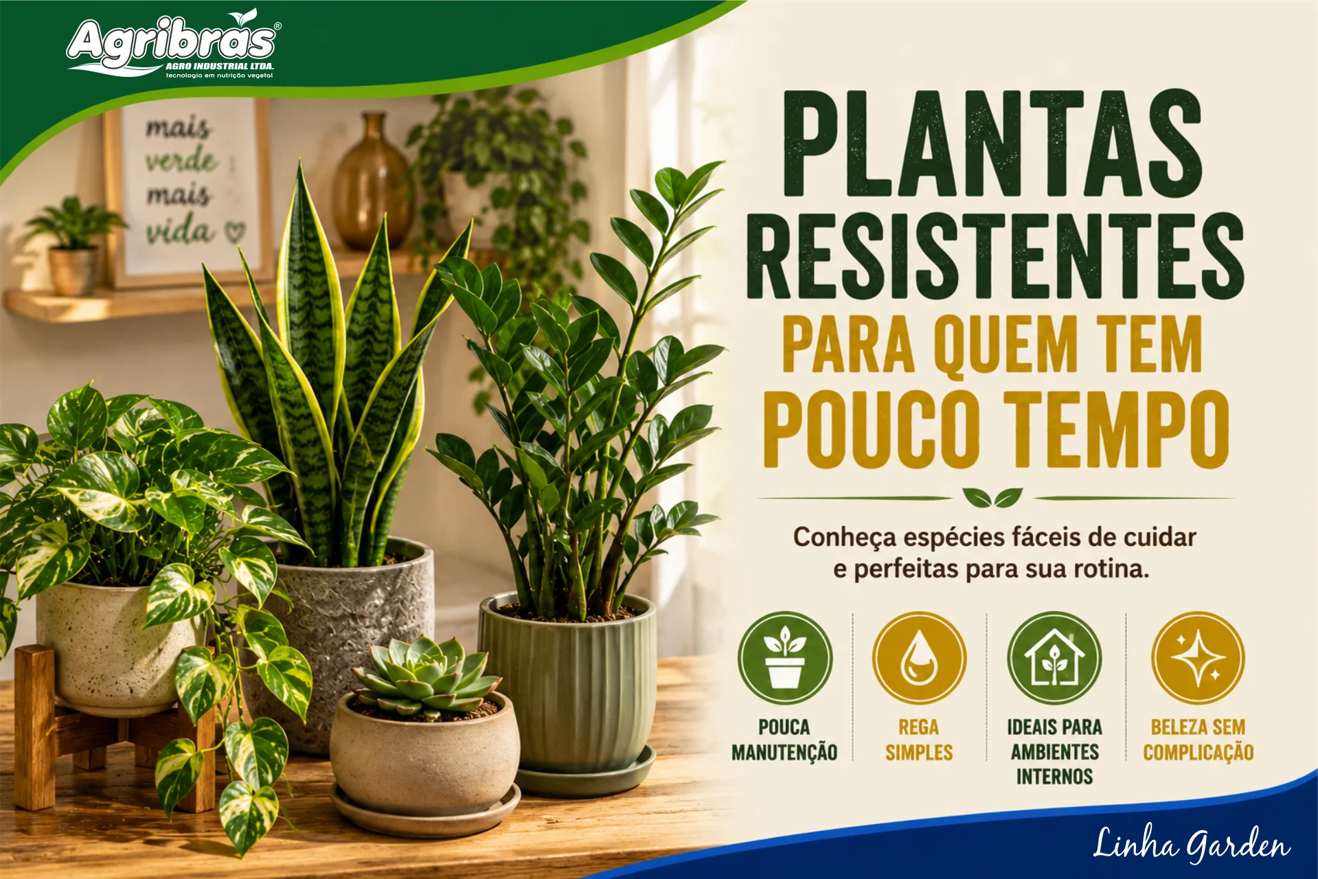 Plantas resistentes para quem tem pouco tempo