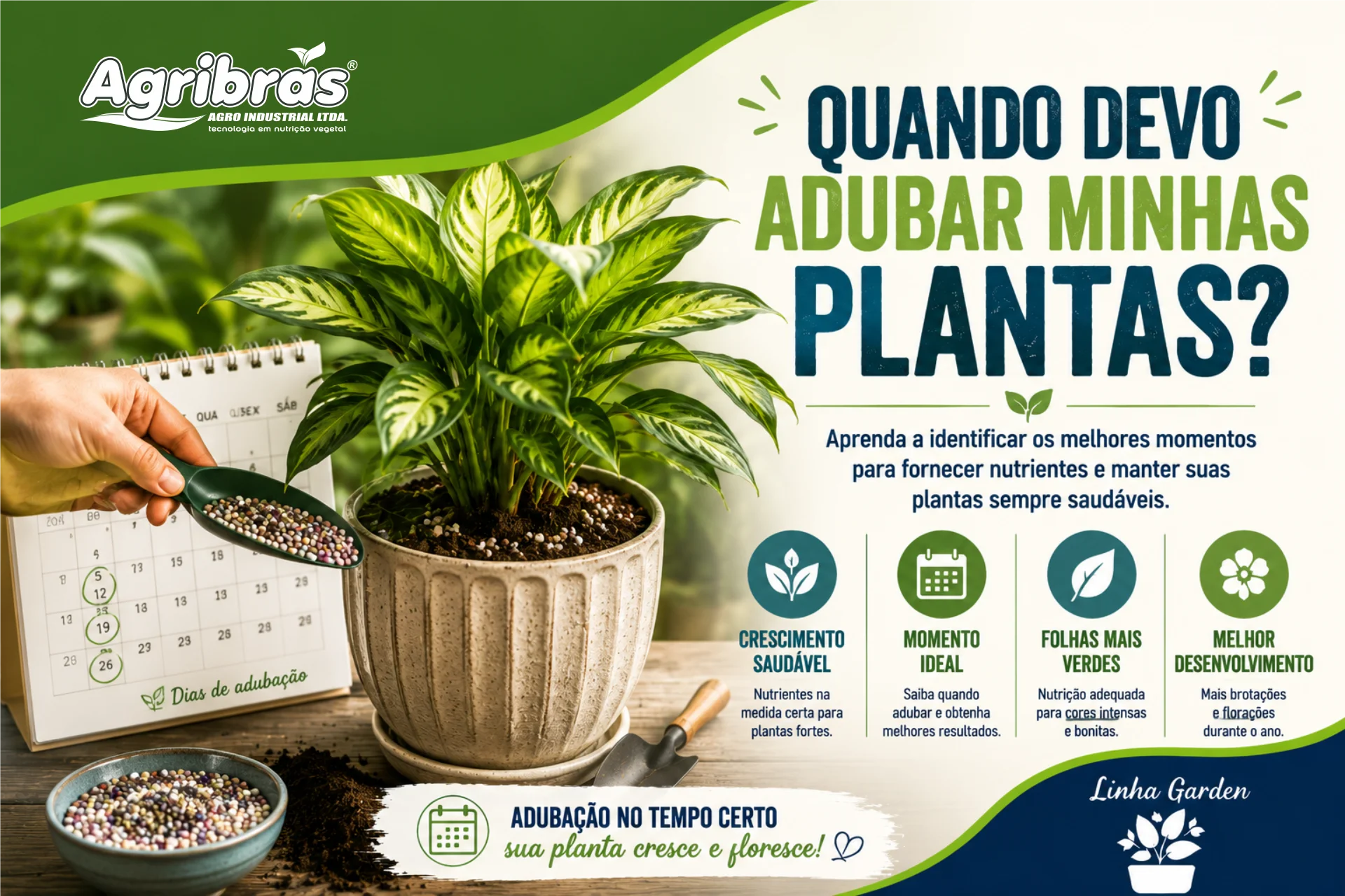 Quando devo adubar minhas plantas?