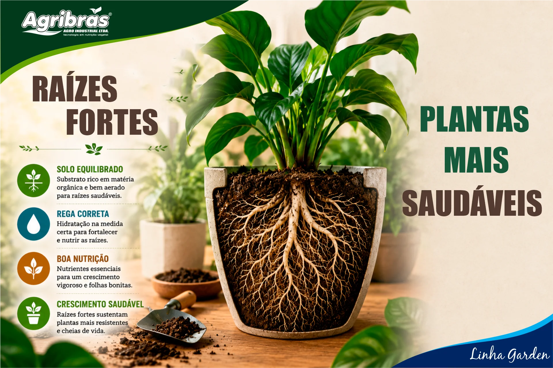 Raízes fortes: plantas mais saudáveis